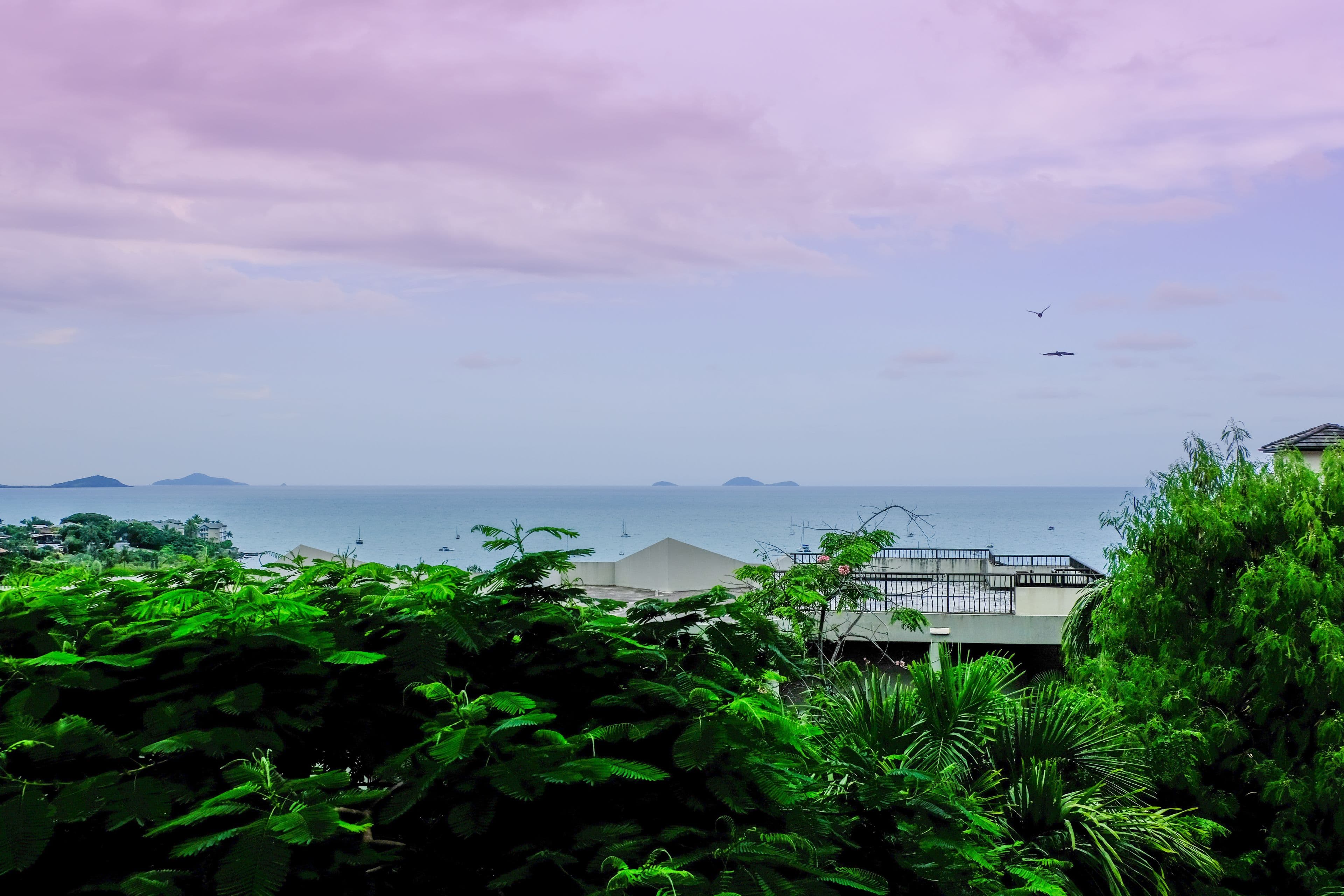 10 Golden Orchid Drive, Airlie Beach QLD 4802, Airlie Beach - Thumbnail 3