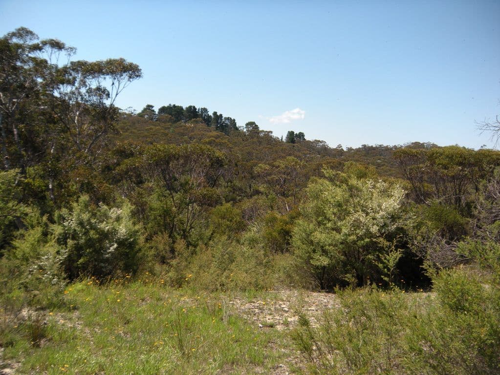 36 Kenny Street, MOUNT VICTORIA NSW 2786, Mount Victoria - Thumbnail 3