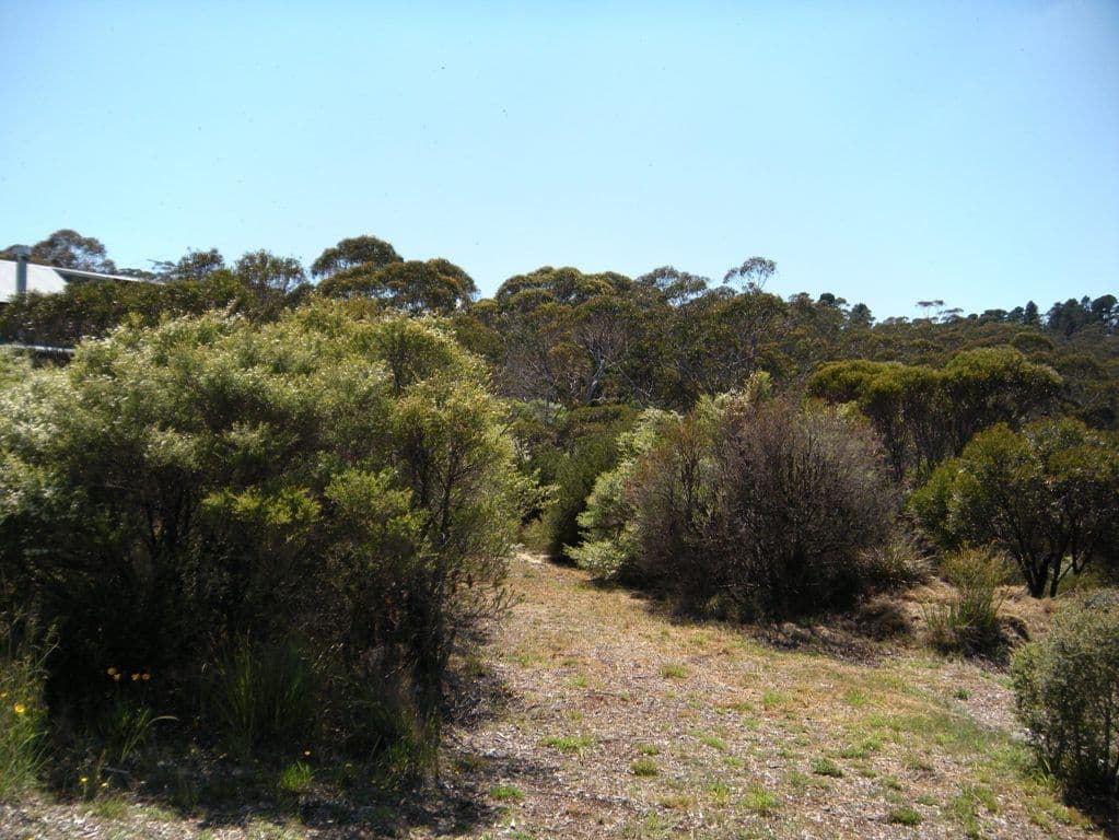 36 Kenny Street, MOUNT VICTORIA NSW 2786, Mount Victoria - Thumbnail 7