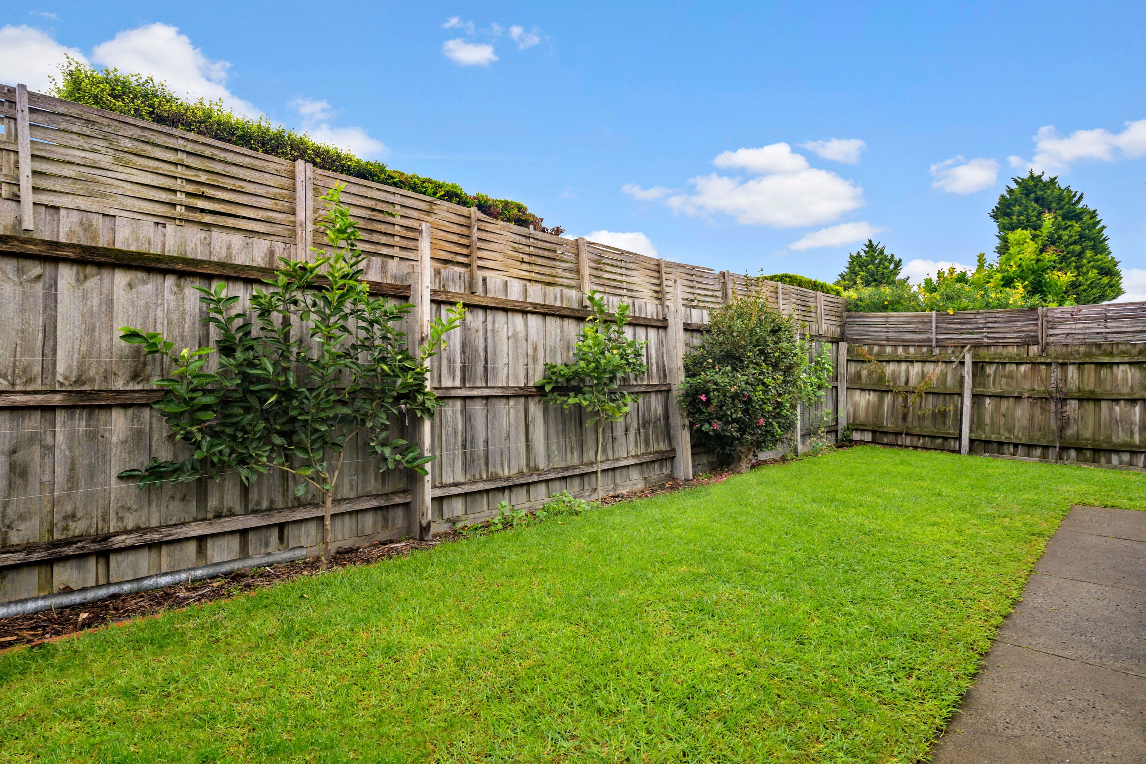 16 Park Avenue, Glen Huntly VIC 3163, Glen Huntly - Thumbnail 8