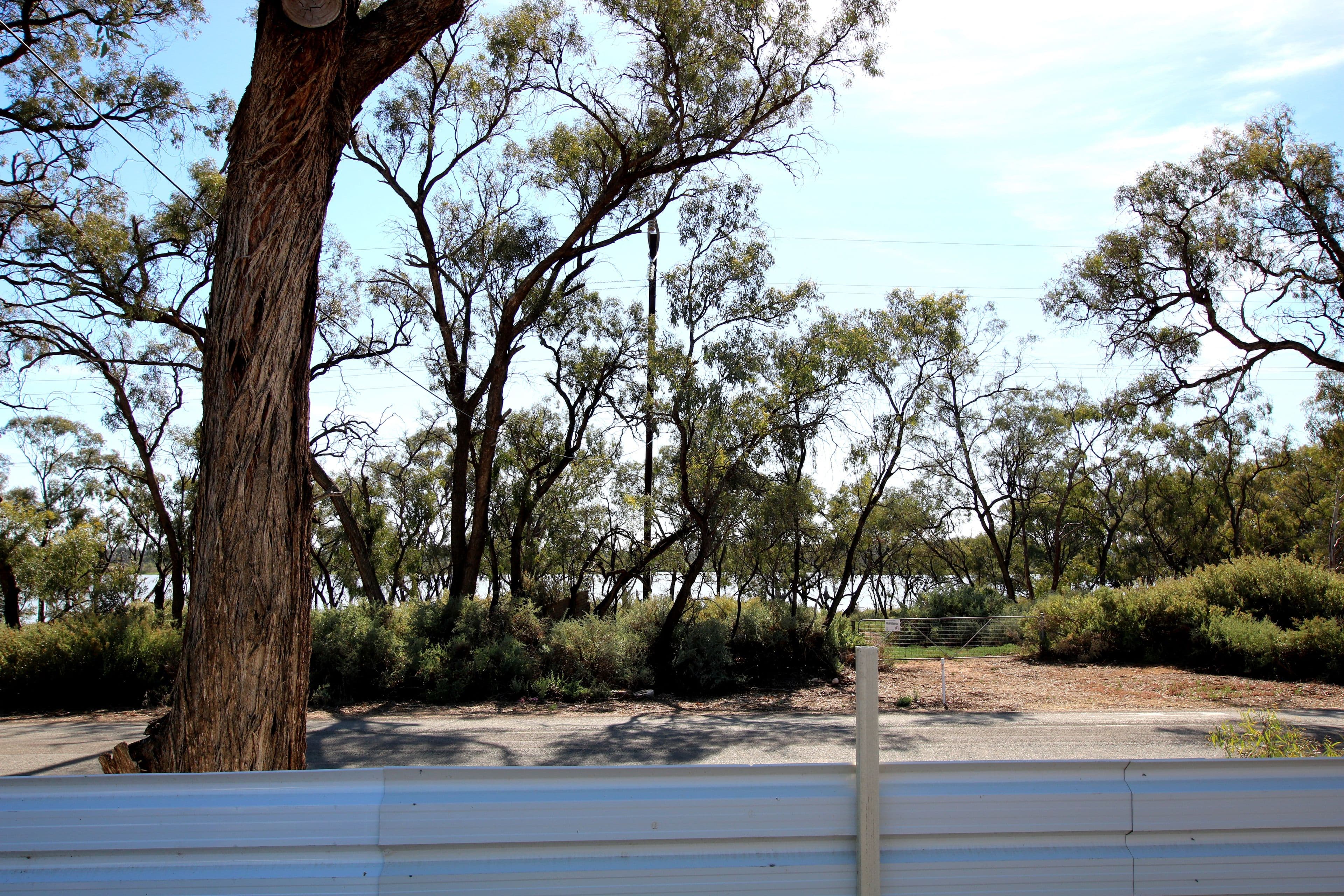 2 Mudge Street, Cobdogla SA 5346, Cobdogla - Thumbnail 2