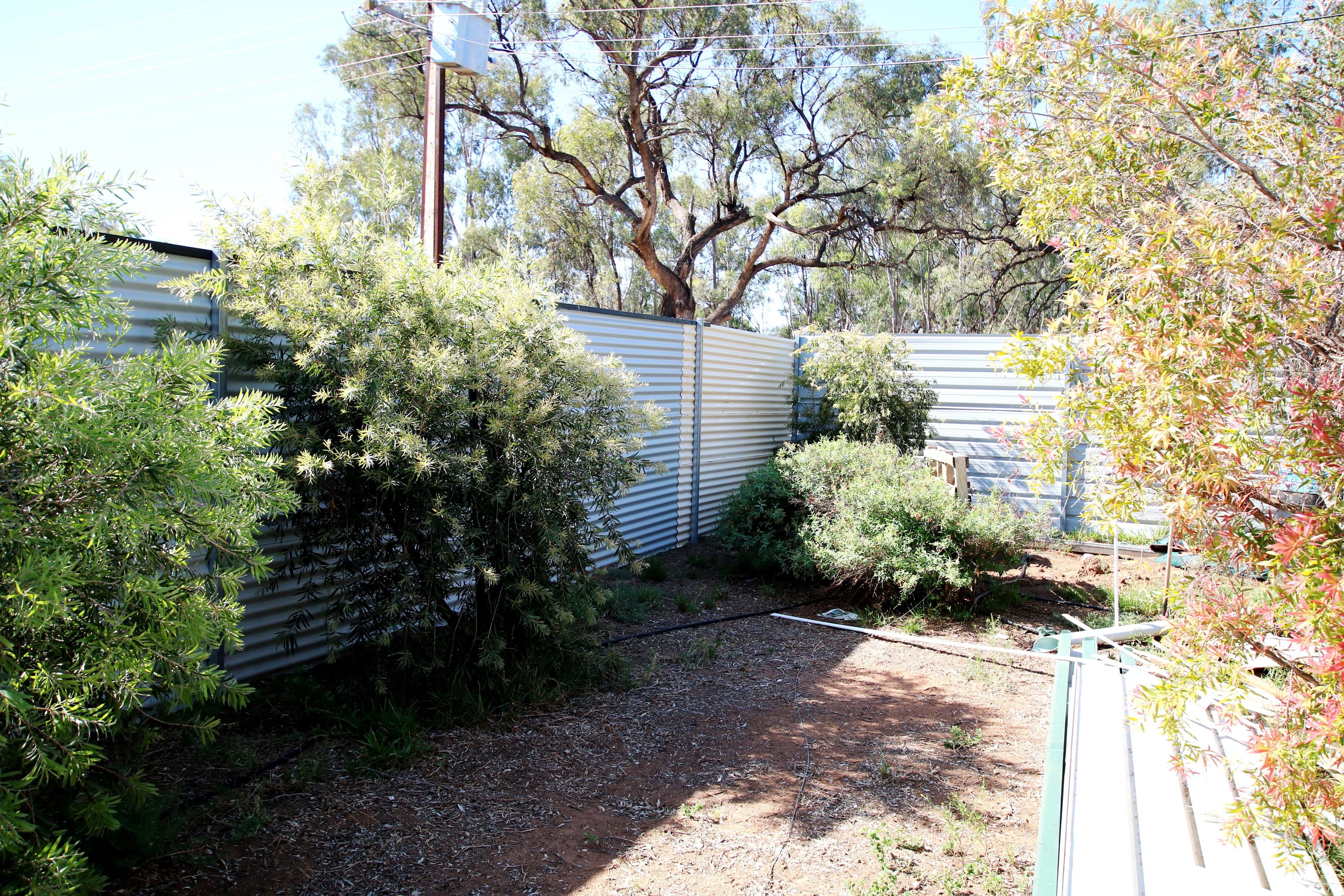 2 Mudge Street, Cobdogla SA 5346, Cobdogla - Thumbnail 3