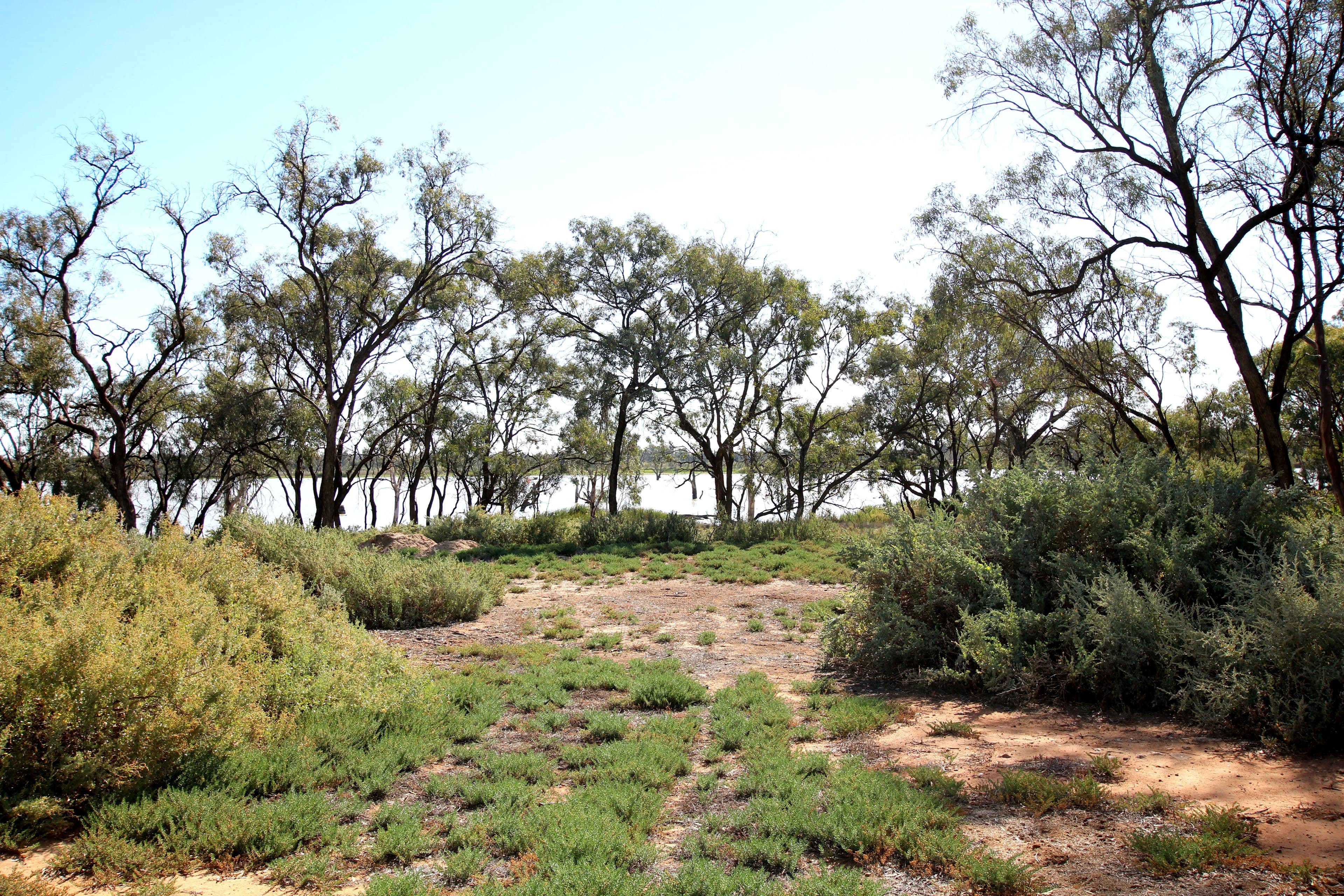 2 Mudge Street, Cobdogla SA 5346, Cobdogla - Thumbnail 7