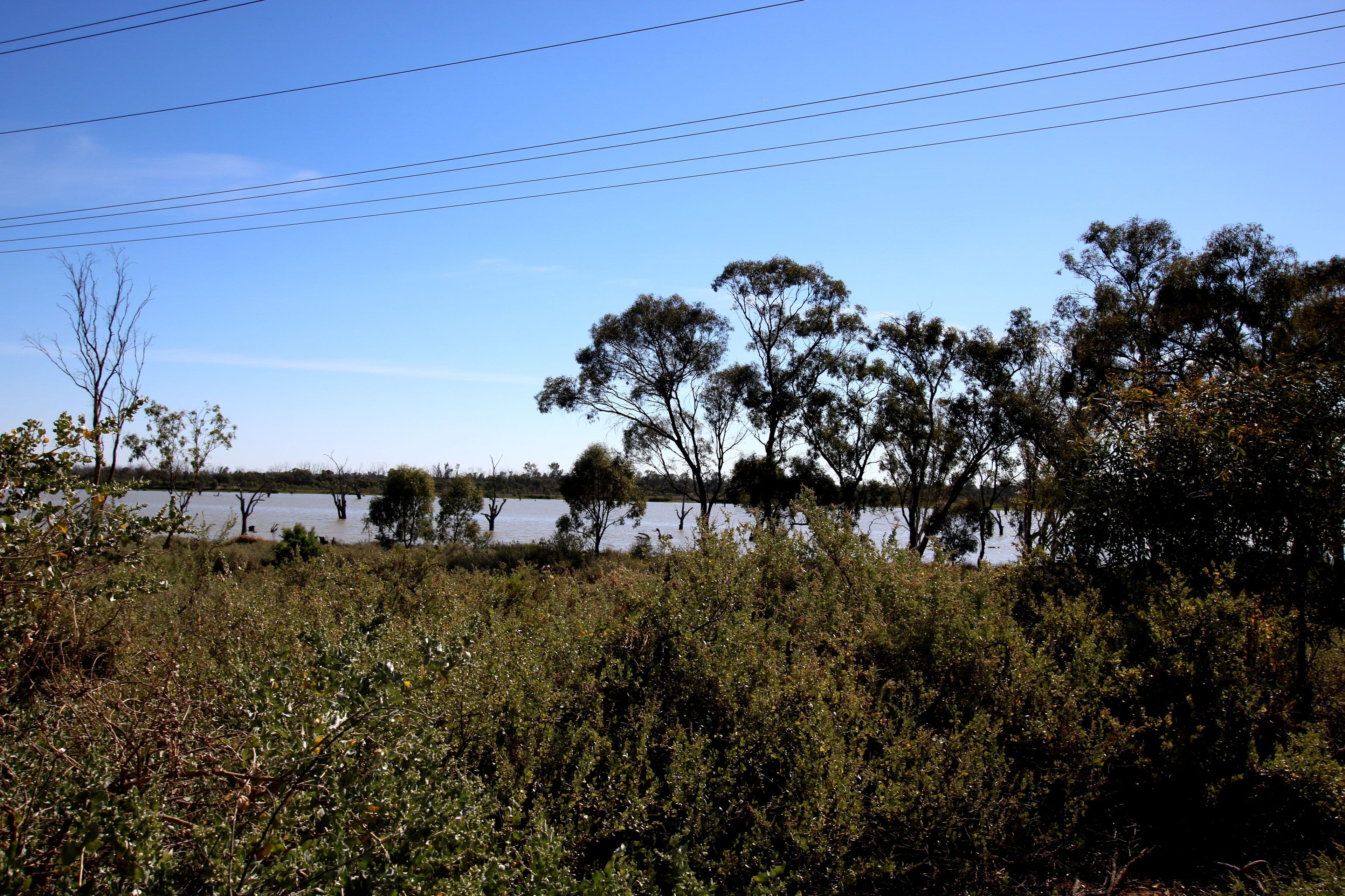 2 Mudge Street, Cobdogla SA 5346, Cobdogla - Thumbnail 8