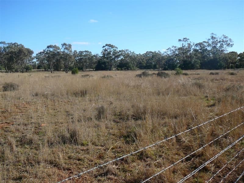 125-127 Nyngan Road, TOTTENHAM NSW 2873, Tottenham - Thumbnail 2
