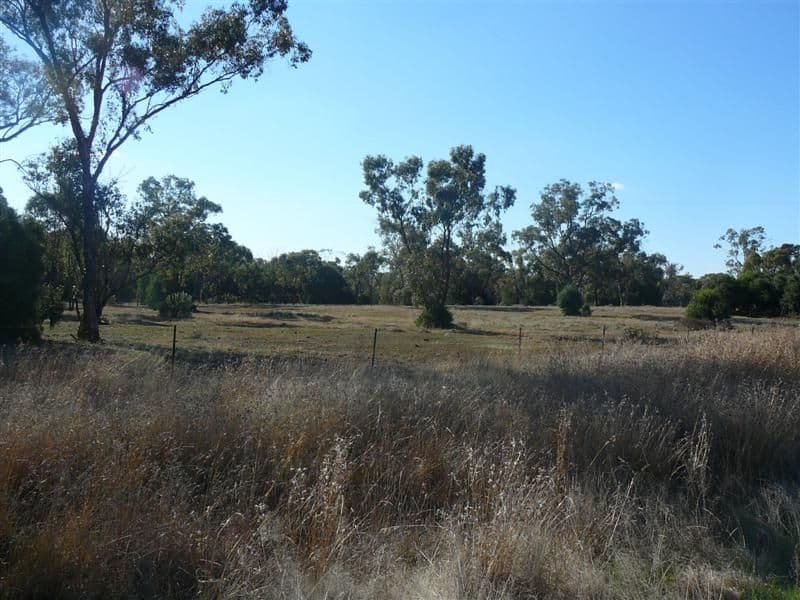 125-127 Nyngan Road, TOTTENHAM NSW 2873, Tottenham - Thumbnail 5