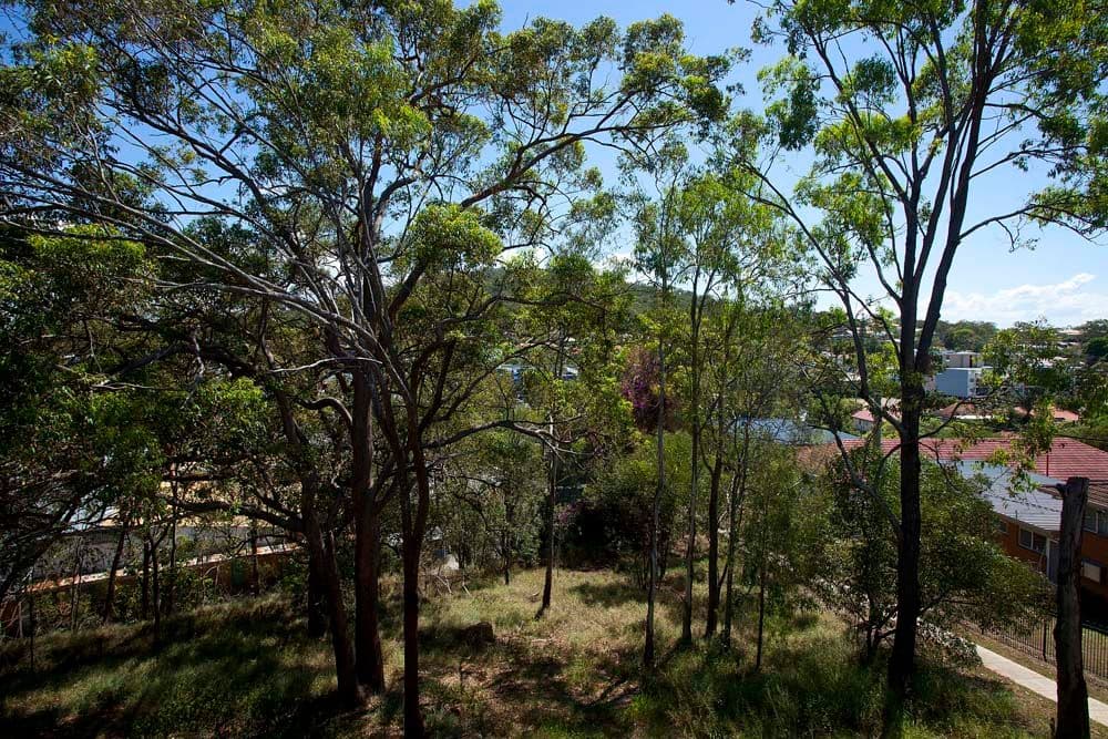 21 Raffles Street, MOUNT GRAVATT EAST QLD 4122, Mount Gravatt East - Thumbnail 4