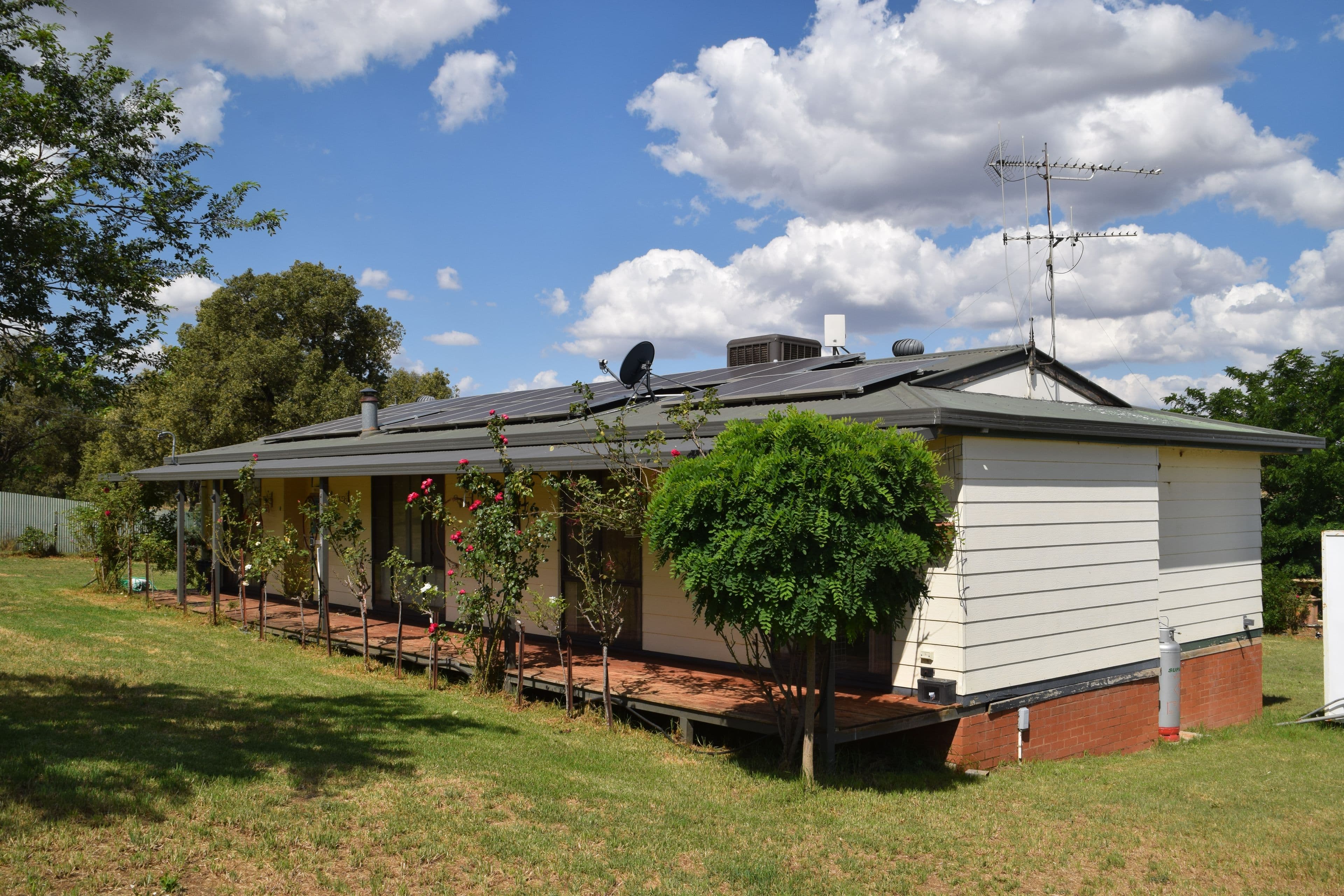 26 Lime Street, Geurie NSW 2818, Geurie - Image 1