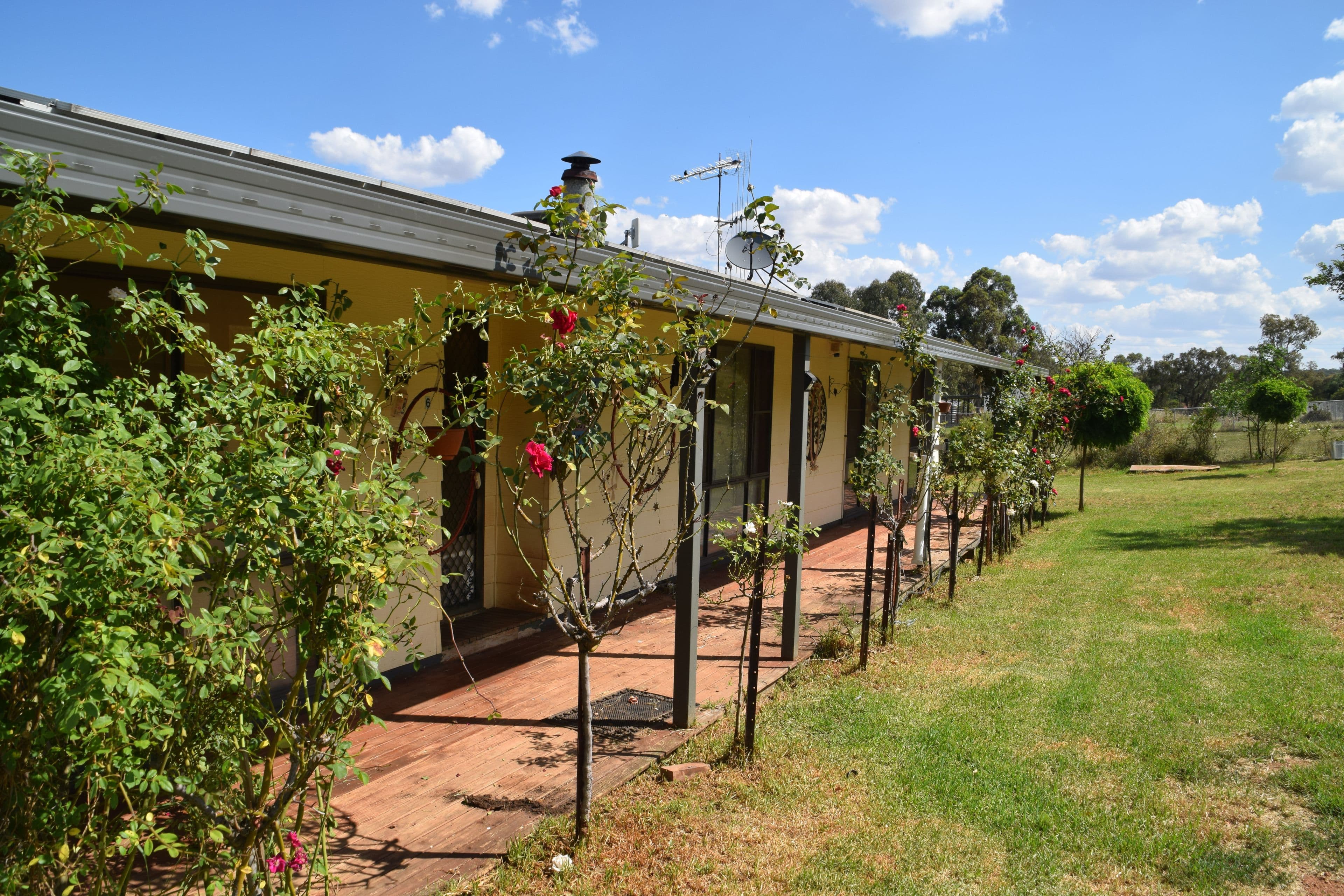 26 Lime Street, Geurie NSW 2818, Geurie - Thumbnail 6