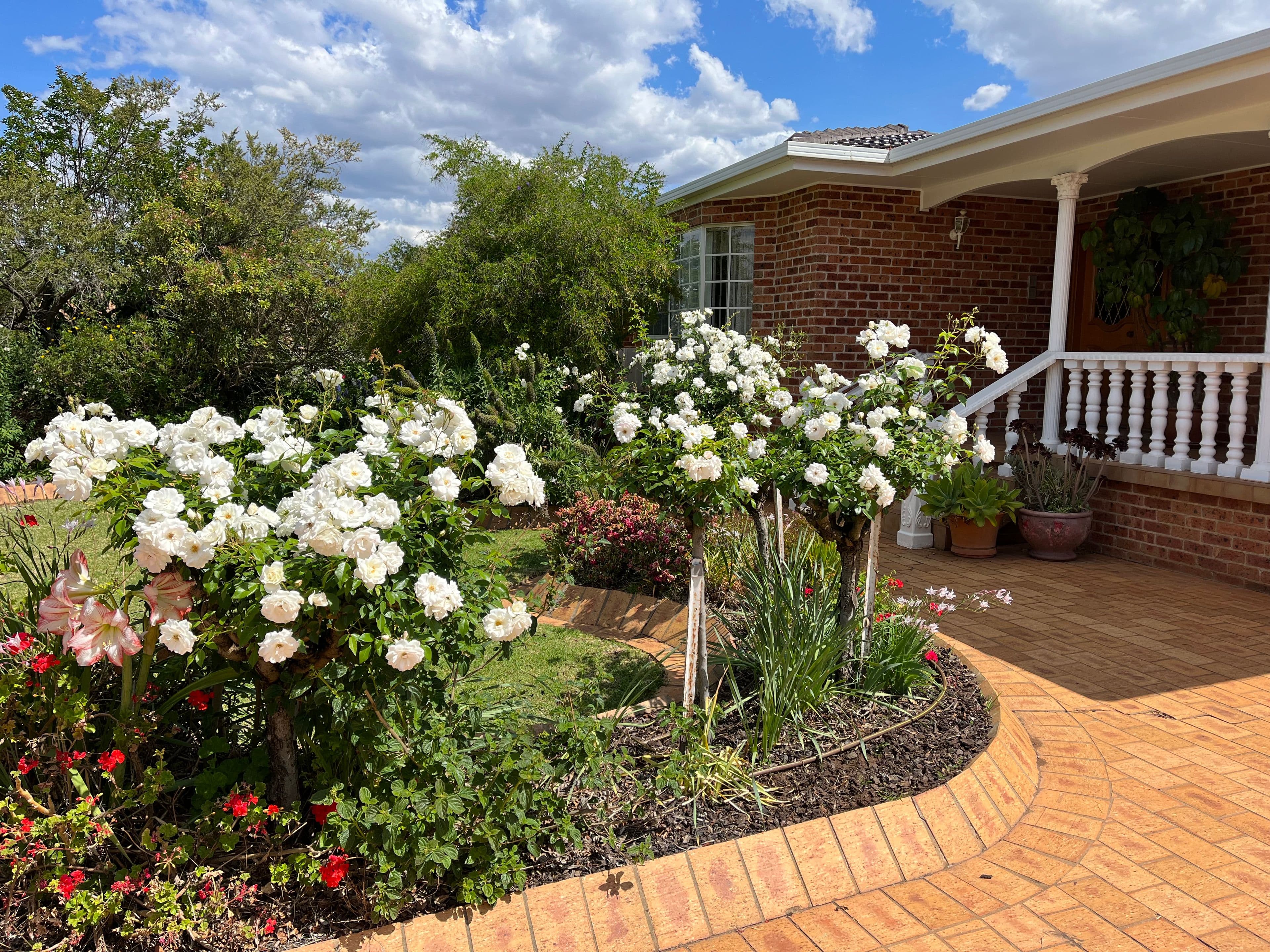 4 Turnell Street, Griffith NSW 2680, Griffith - Thumbnail 2