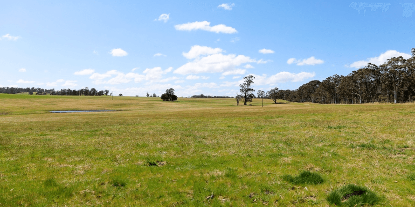 60 Wanganderry Road High Range, Range - Thumbnail 6