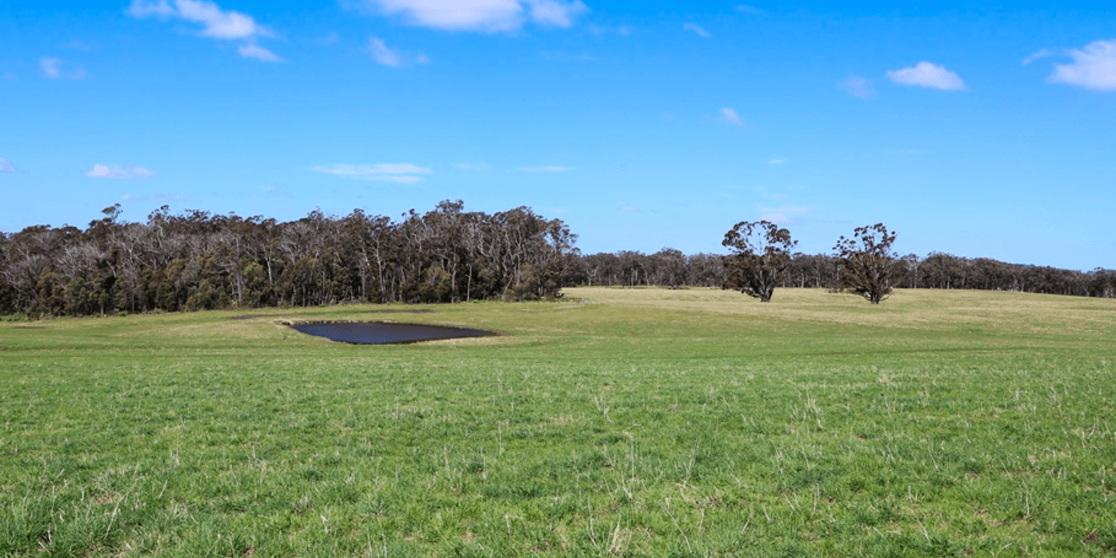 60 Wanganderry Road High Range, Range - Thumbnail 7