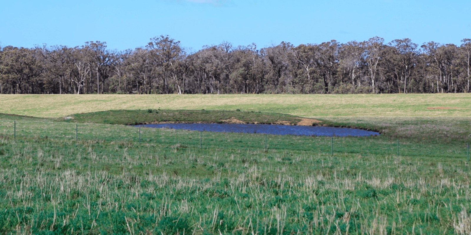 60 Wanganderry Road High Range, Range - Thumbnail 8