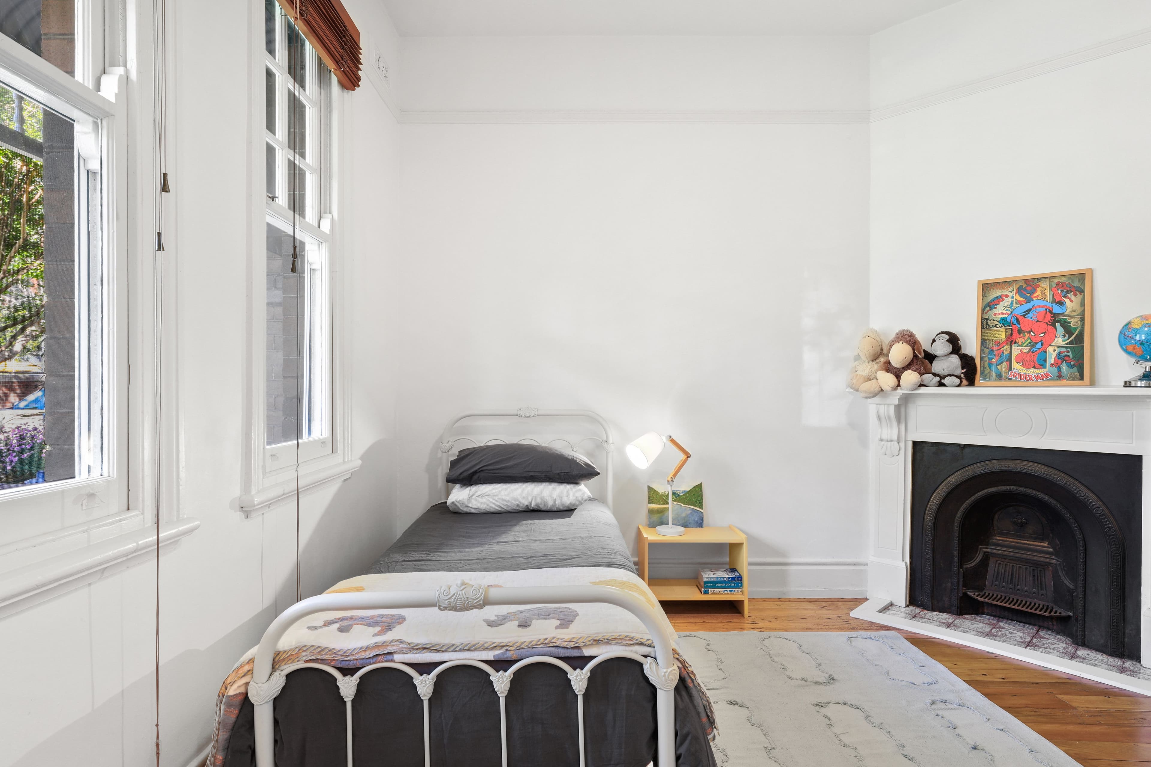 6 St James Avenue, Glebe NSW 2037, Glebe - Thumbnail 7