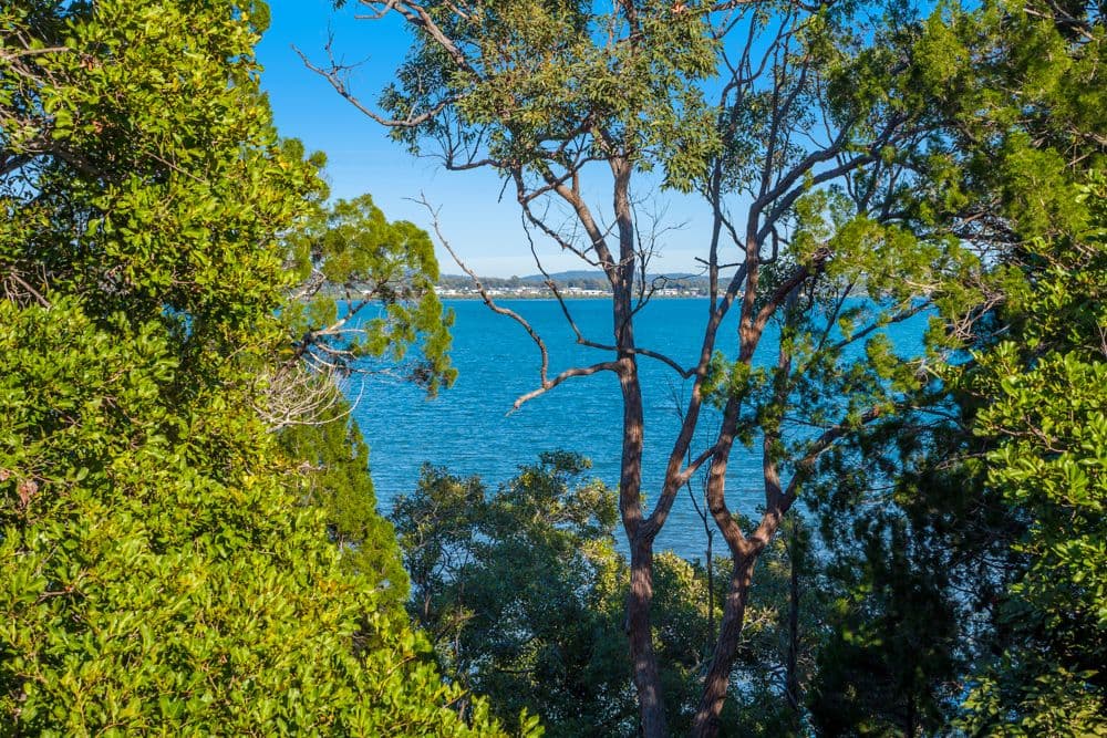 120 Main Road, Wellington Point QLD 4160, Wellington Point - Thumbnail 5
