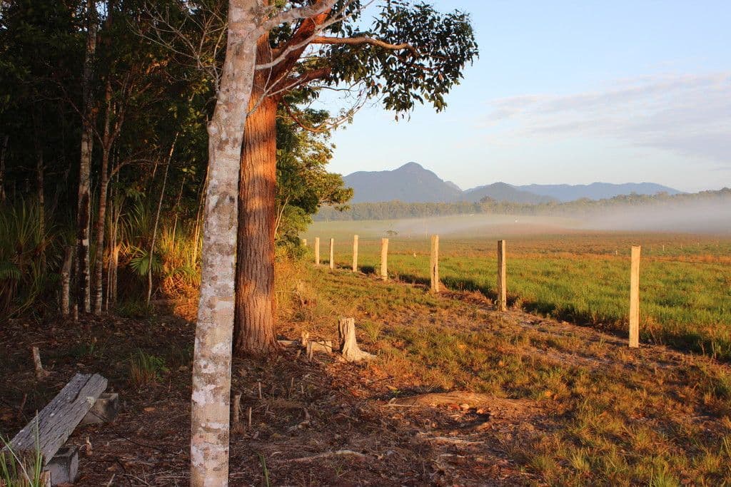 86 Highland Drive, Julatten QLD 4871, Julatten - Thumbnail 4