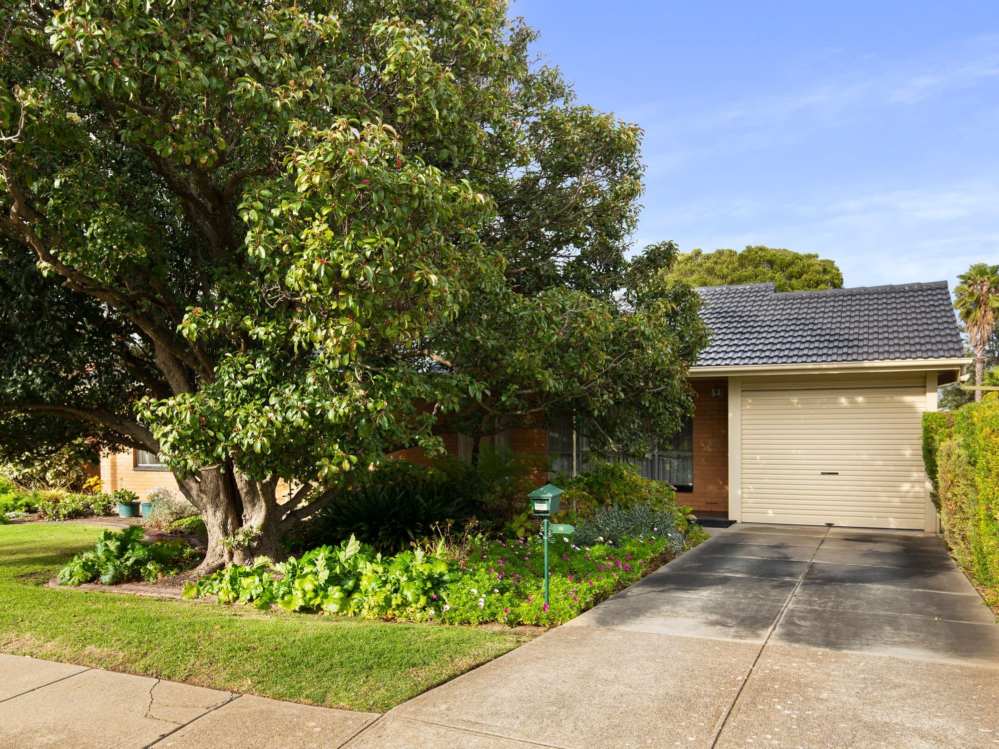 18 Baanga Road, Morphett Vale SA 5162, Morphett Vale - Thumbnail 5