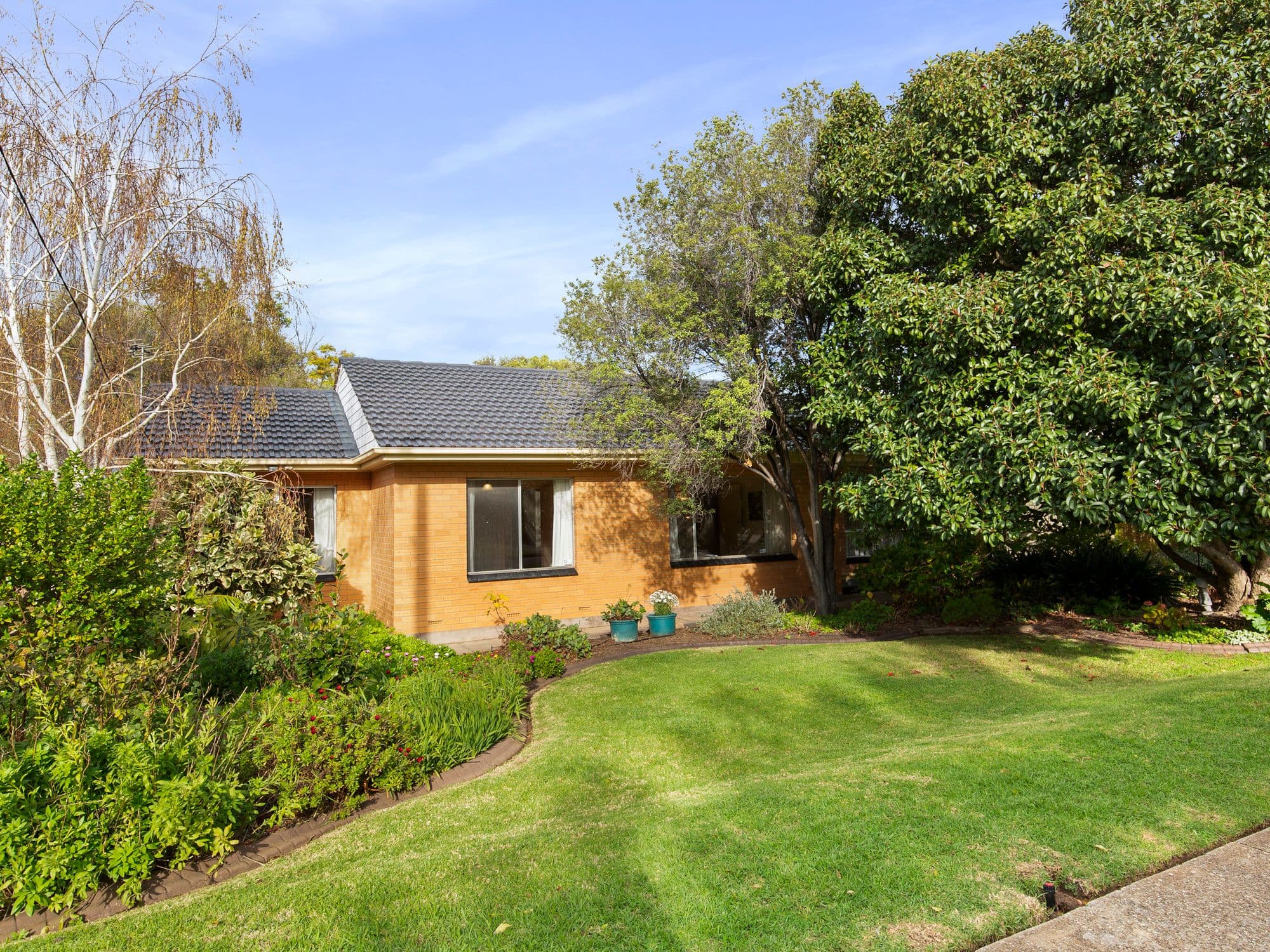 18 Baanga Road, Morphett Vale SA 5162, Morphett Vale - Thumbnail 6