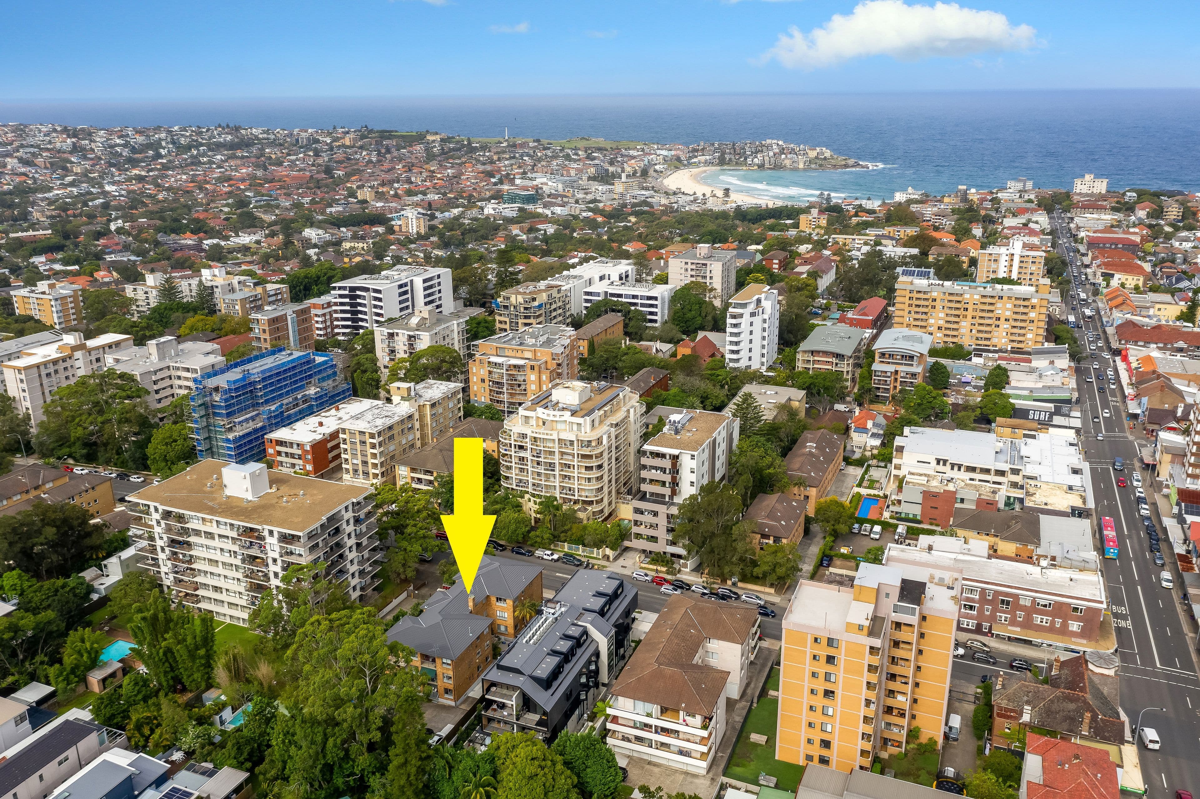 65 Penkivil Street, Bondi NSW 2026, Bondi - Thumbnail 8