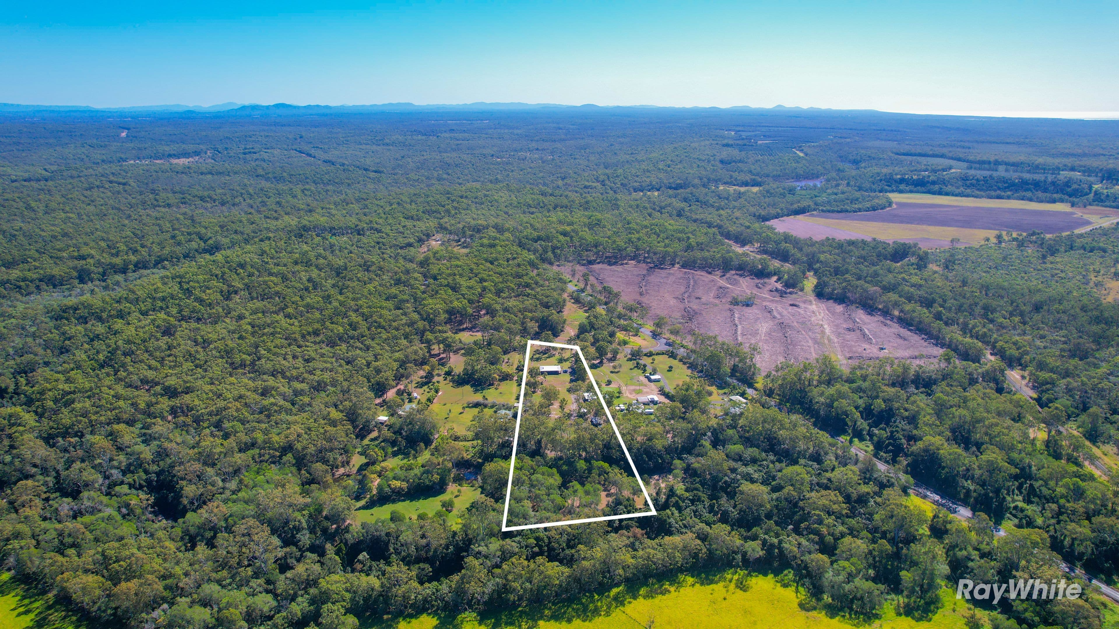 11 Bindara Court, Mullett Creek QLD 4670, Mullett Creek - Thumbnail 3