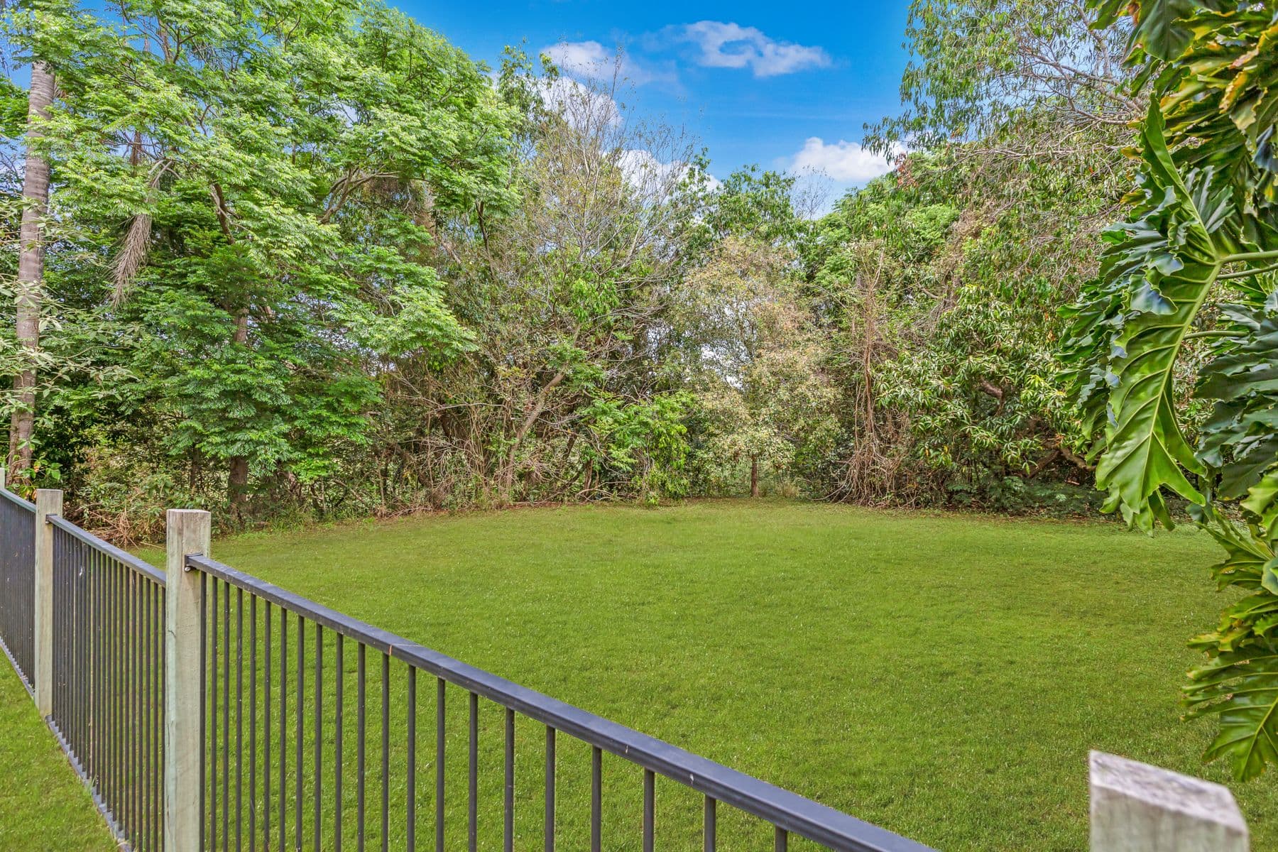 131 Olearia Street West, Everton Hills QLD 4053, Everton Hills - Thumbnail 4