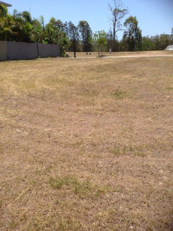 51 Serenity Boulevard, HELENSVALE QLD 4212, Helensvale - Thumbnail 2