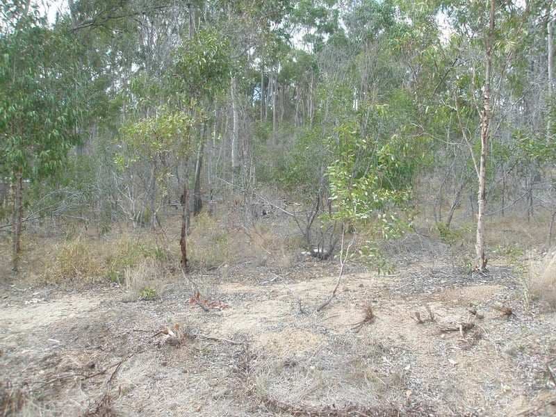 62 Commodore Drive, SOUTH BINGERA QLD 4670, South Bingera - Thumbnail 3