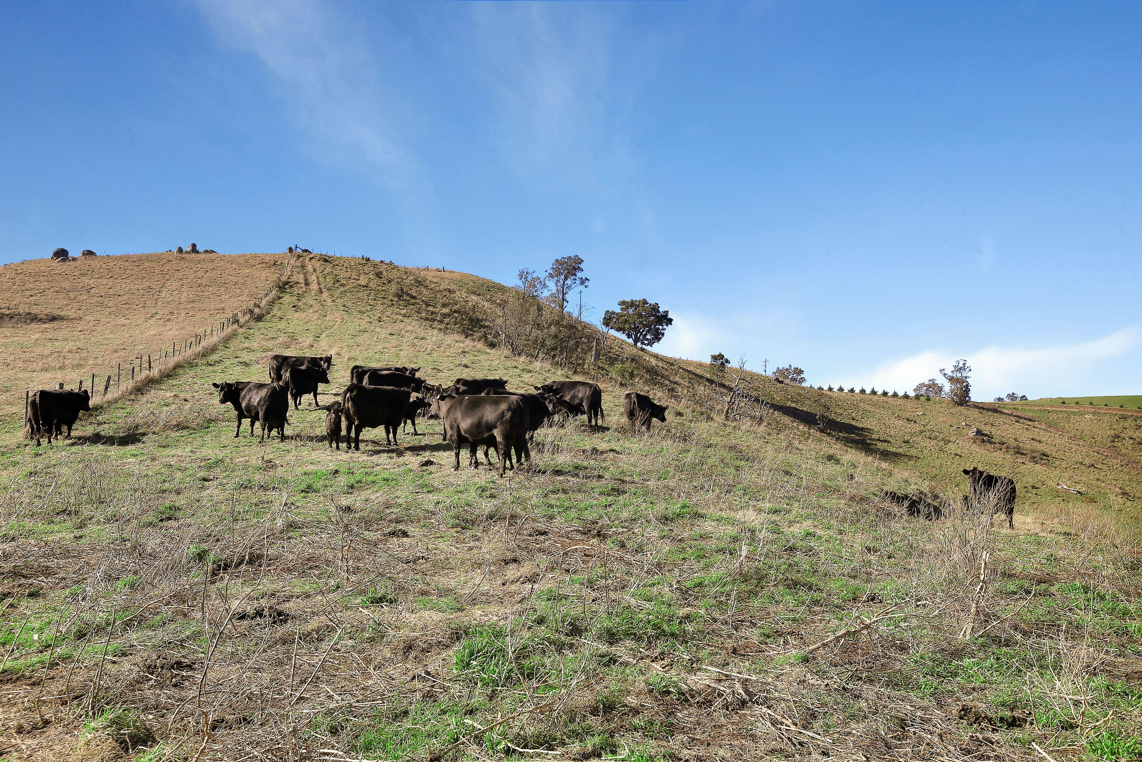 Lot 25 Coxs River Road, Hartley NSW 2790, Little Hartley - Thumbnail 7