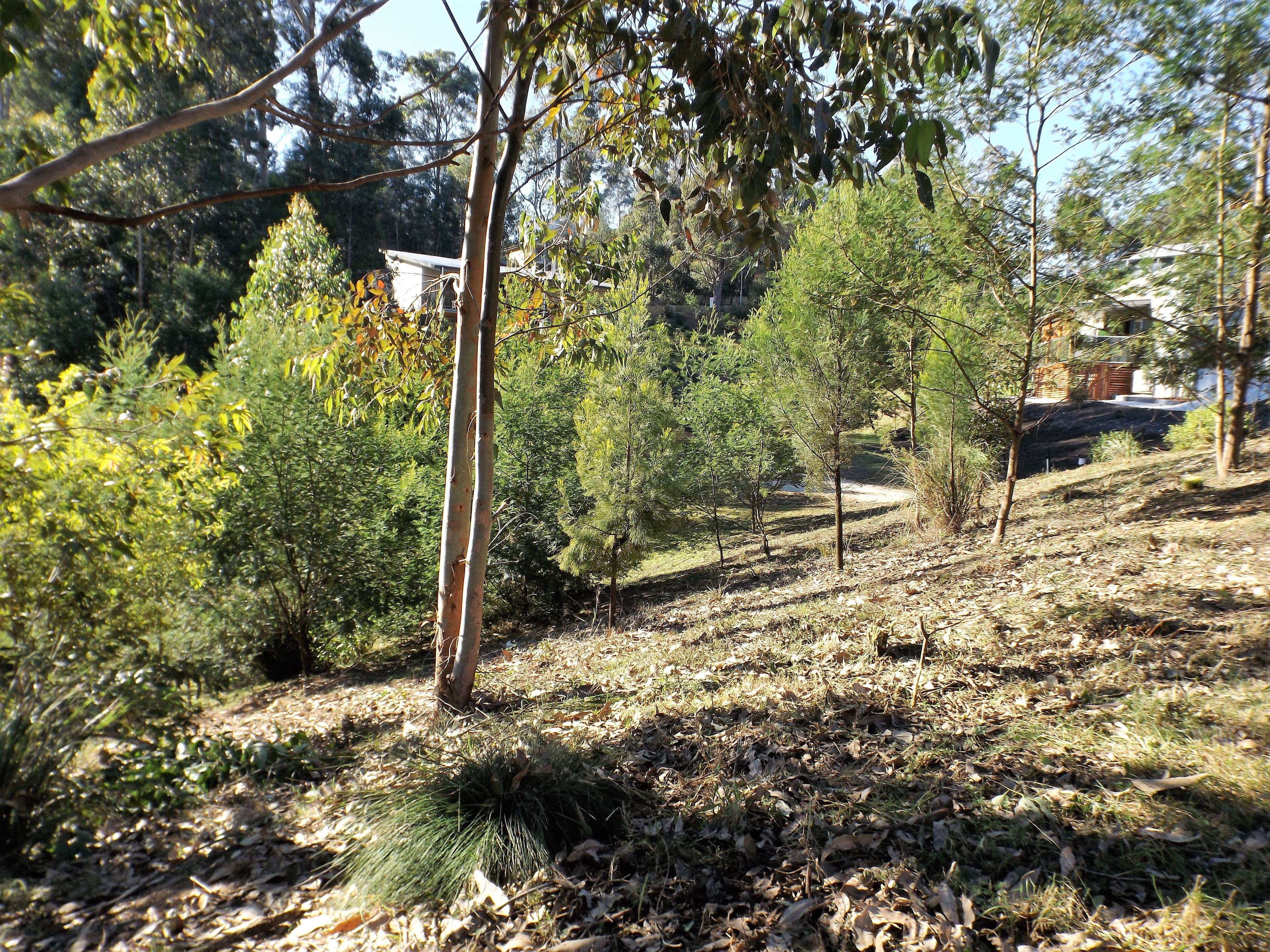 135 Litchfield Crescent, Long Beach NSW 2536, Long Beach - Thumbnail 4