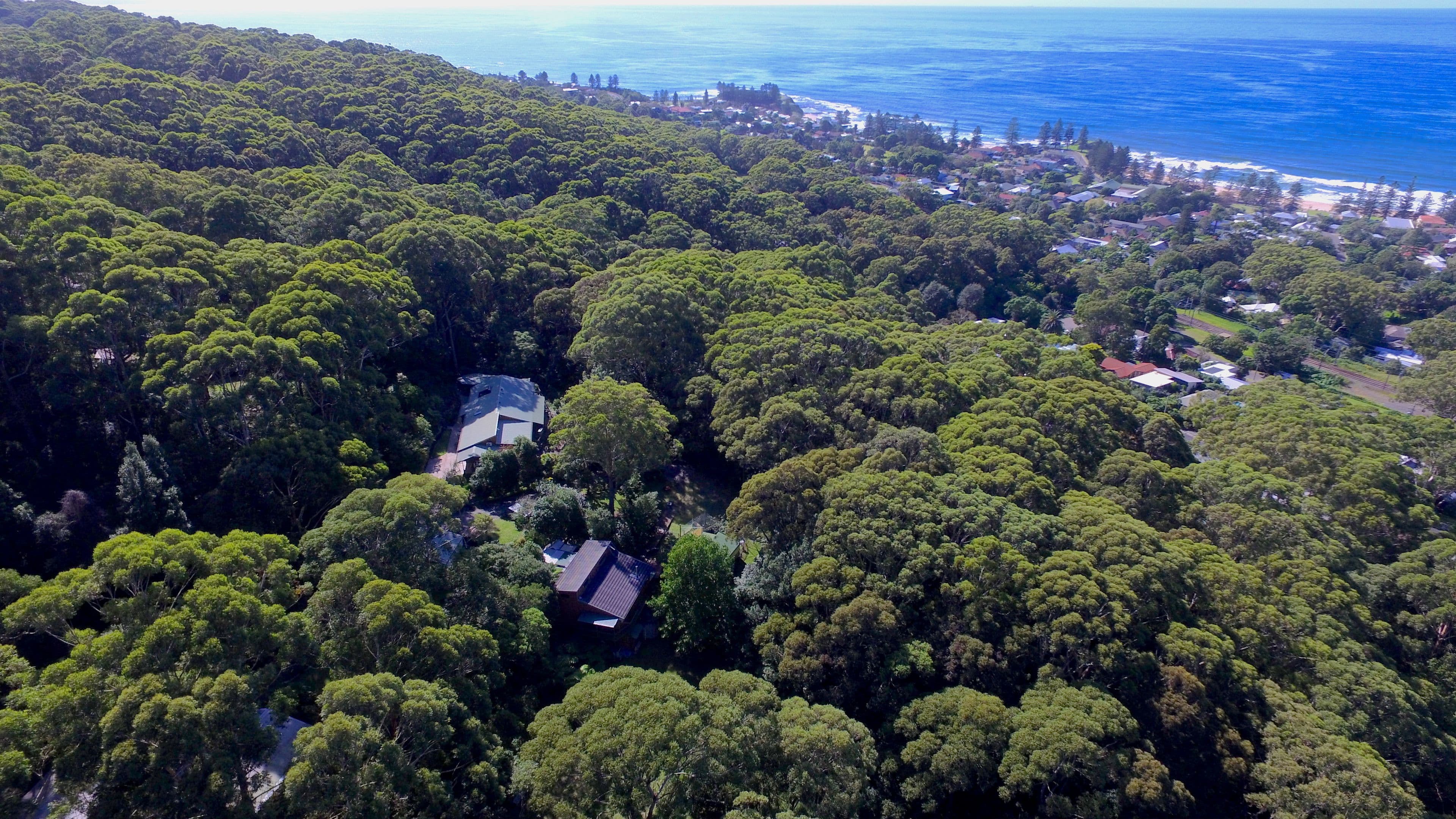 39 Asquith Street, Austinmer - Image 1