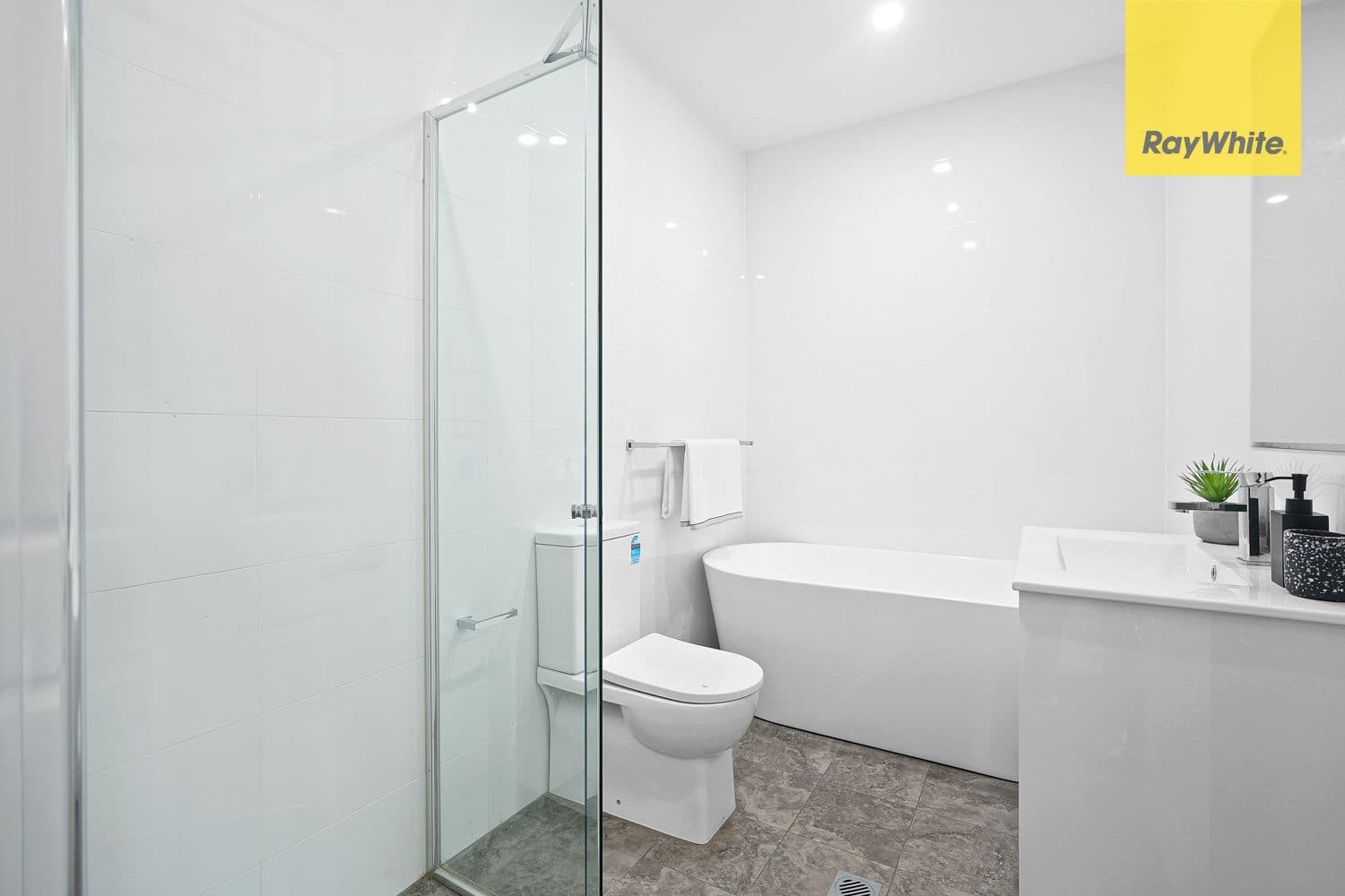 57A Crimea Street, Parramatta NSW 2150, Parramatta - Thumbnail 8