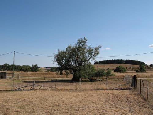 7 Modbury Street, BUNGENDORE NSW 2621, Bungendore - Image 1