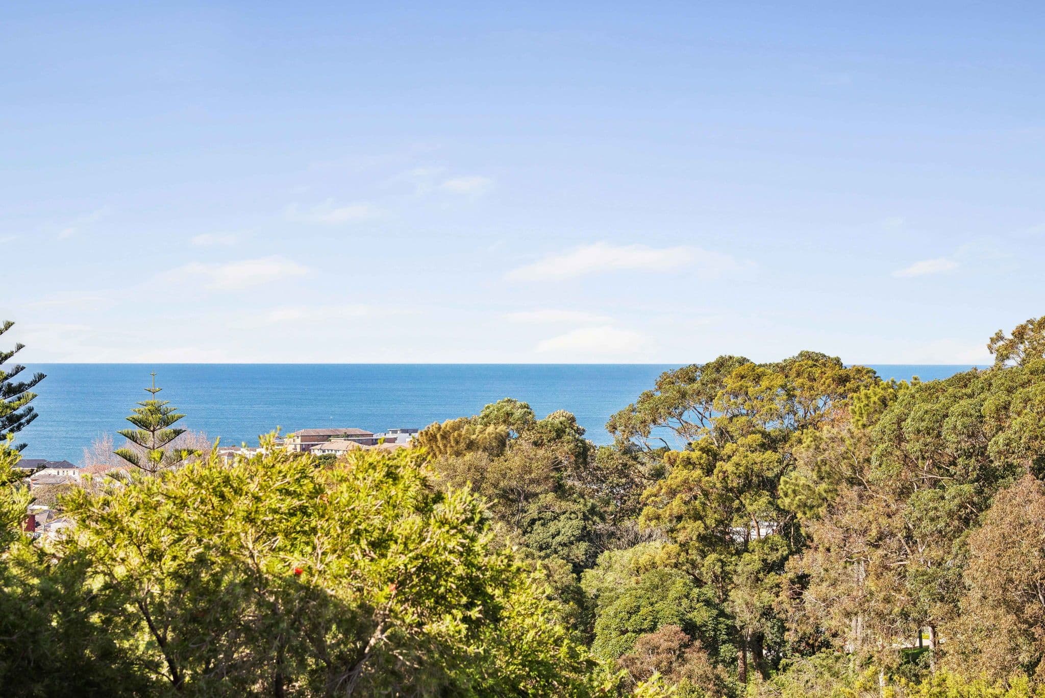 5-7 Macpherson Street, Waverley NSW 2024, Waverley - Thumbnail 6