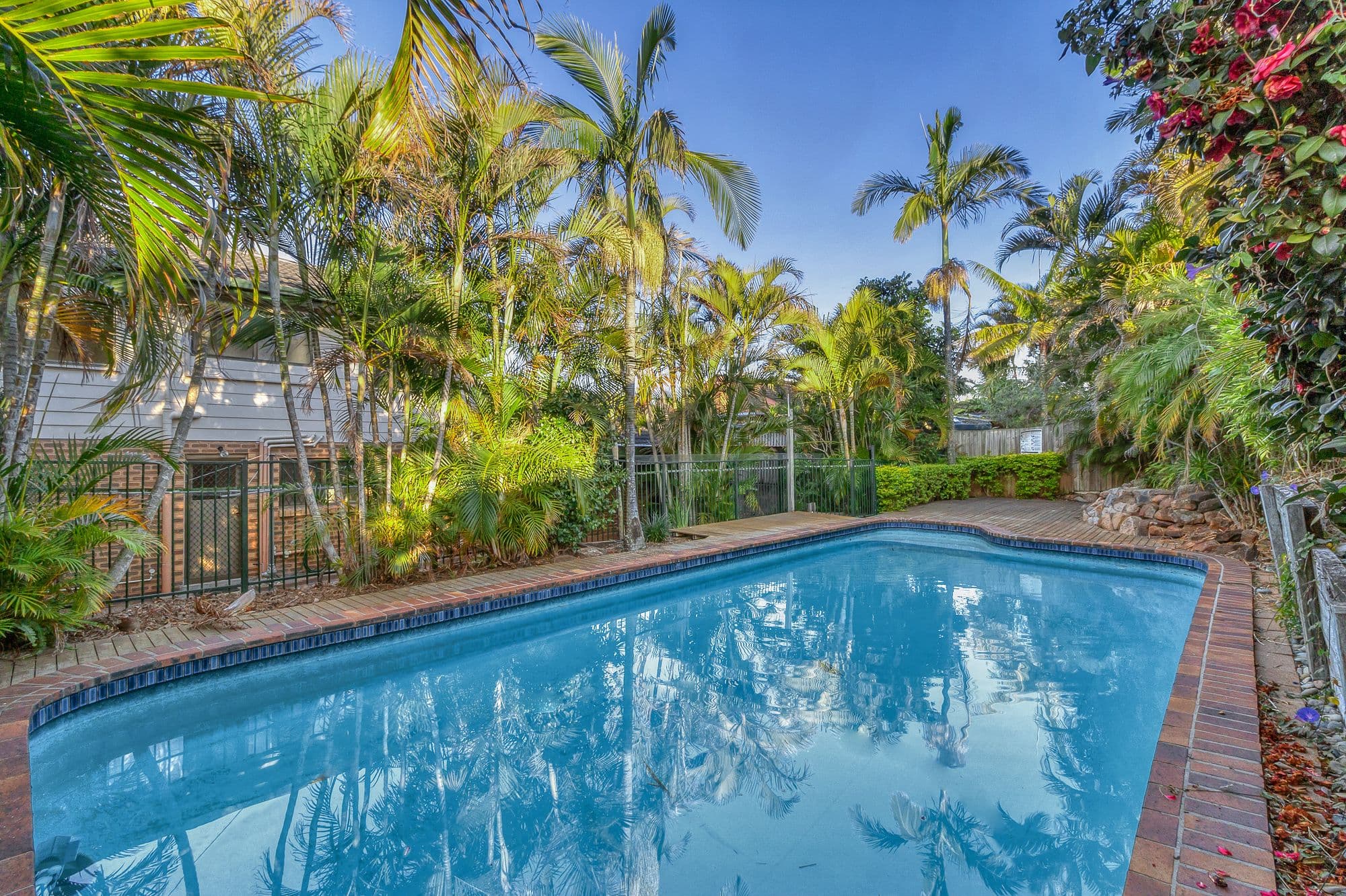 37 Sirocco Street, Jamboree Heights QLD 4074, Jamboree Heights - Thumbnail 3