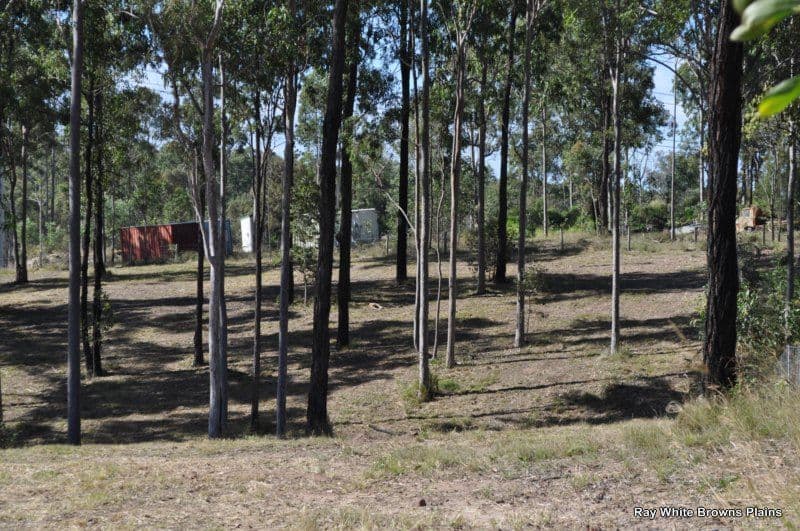 219 Spinebill Drive, GREENBANK QLD 4124, Greenbank - Thumbnail 3