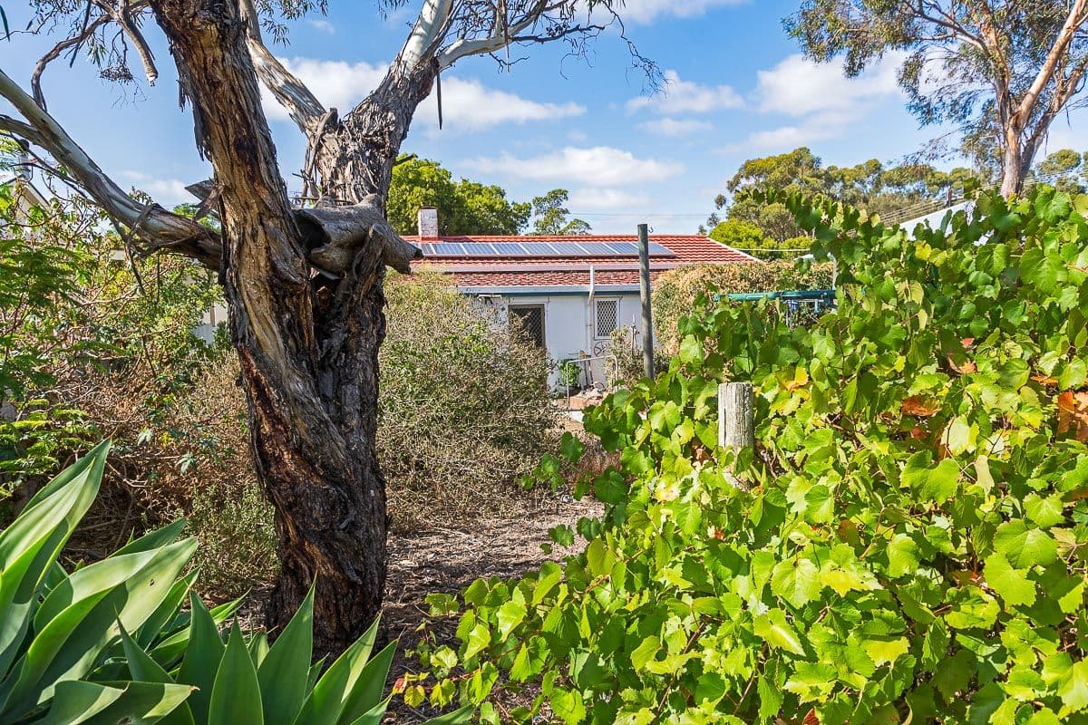 13 Hirt Avenue, Murray Bridge SA 5253, Murray Bridge - Thumbnail 8