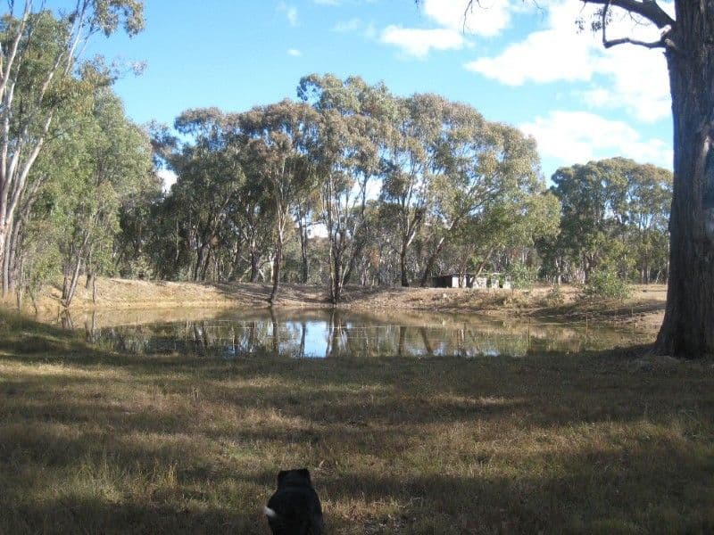 GILGAI NSW 2360, Gilgai - Thumbnail 6
