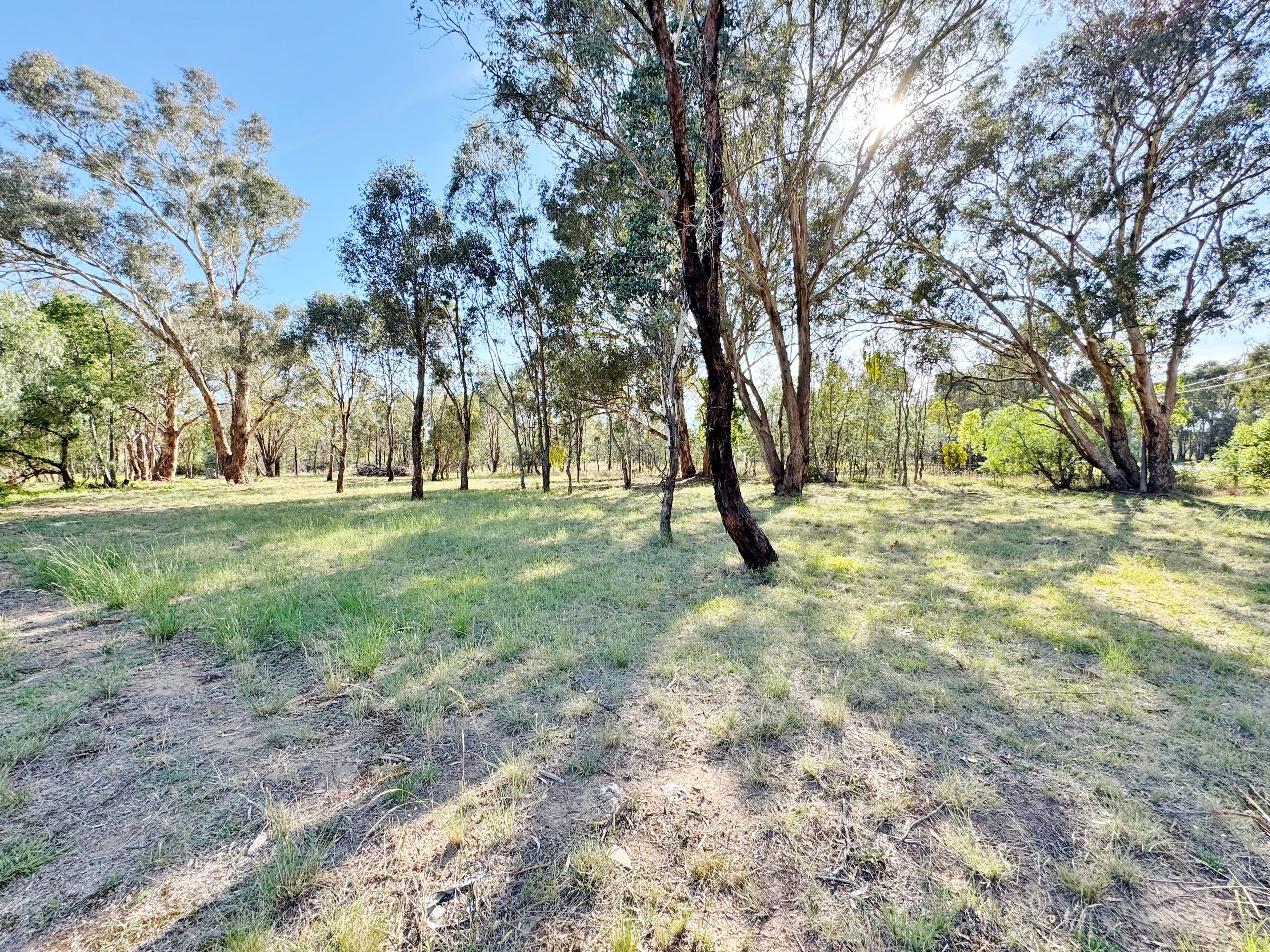 914 Monteagle Stock Route East Monteagle via, Young NSW 2594, Young - Thumbnail 8