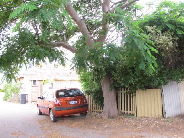 102 Francis Street, BEACHLANDS WA 6530, Beachlands - Thumbnail 6