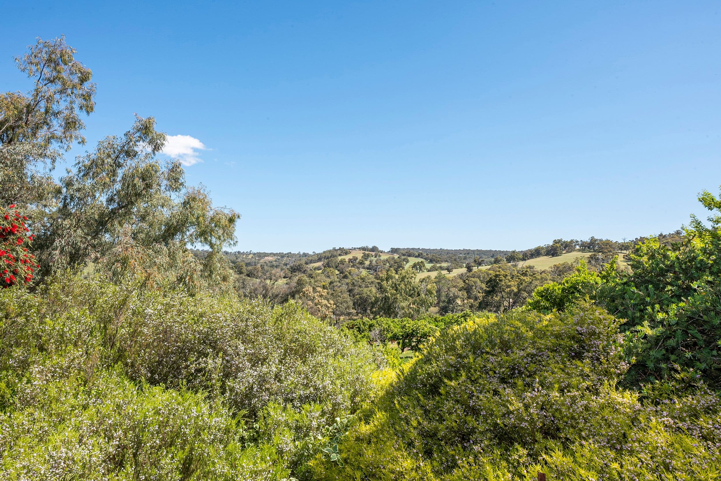 835 CHITTERING Road, Bullsbrook WA 6084, Bullsbrook - Thumbnail 3