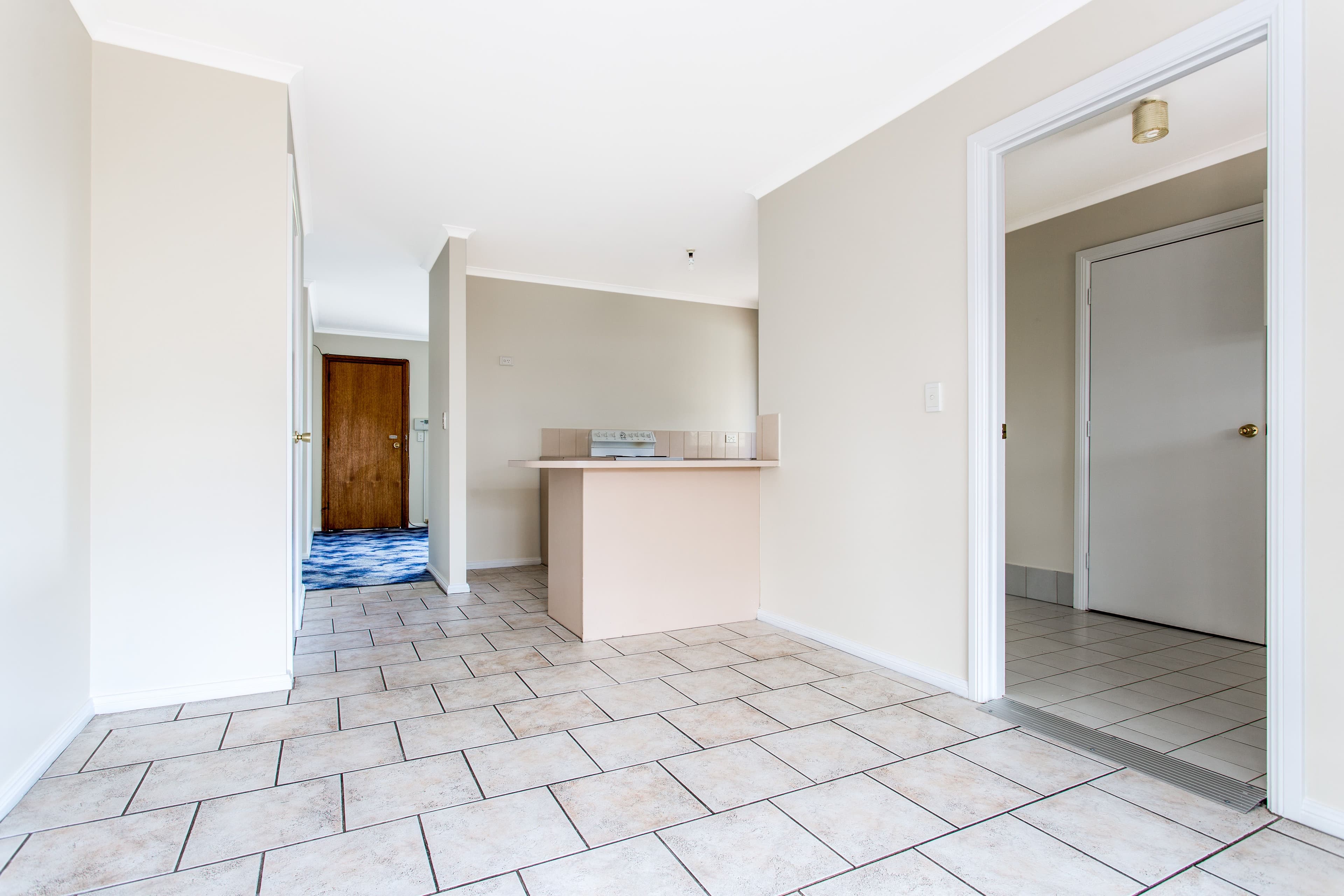 3 Berkshire Street, Athol Park SA 5012, Athol Park - Thumbnail 4