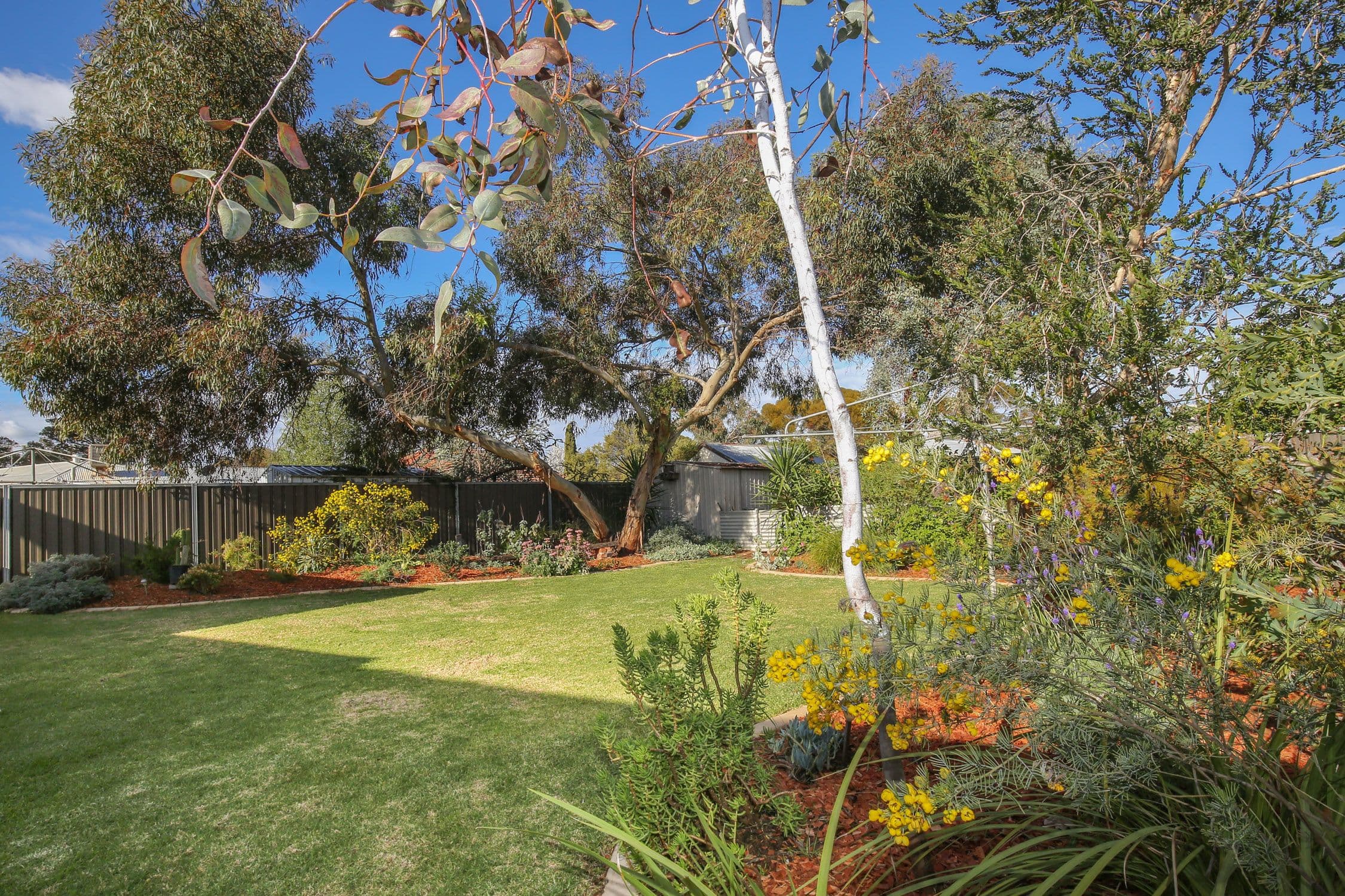 4 Murray Avenue, Mildura VIC 3500, Mildura - Thumbnail 5