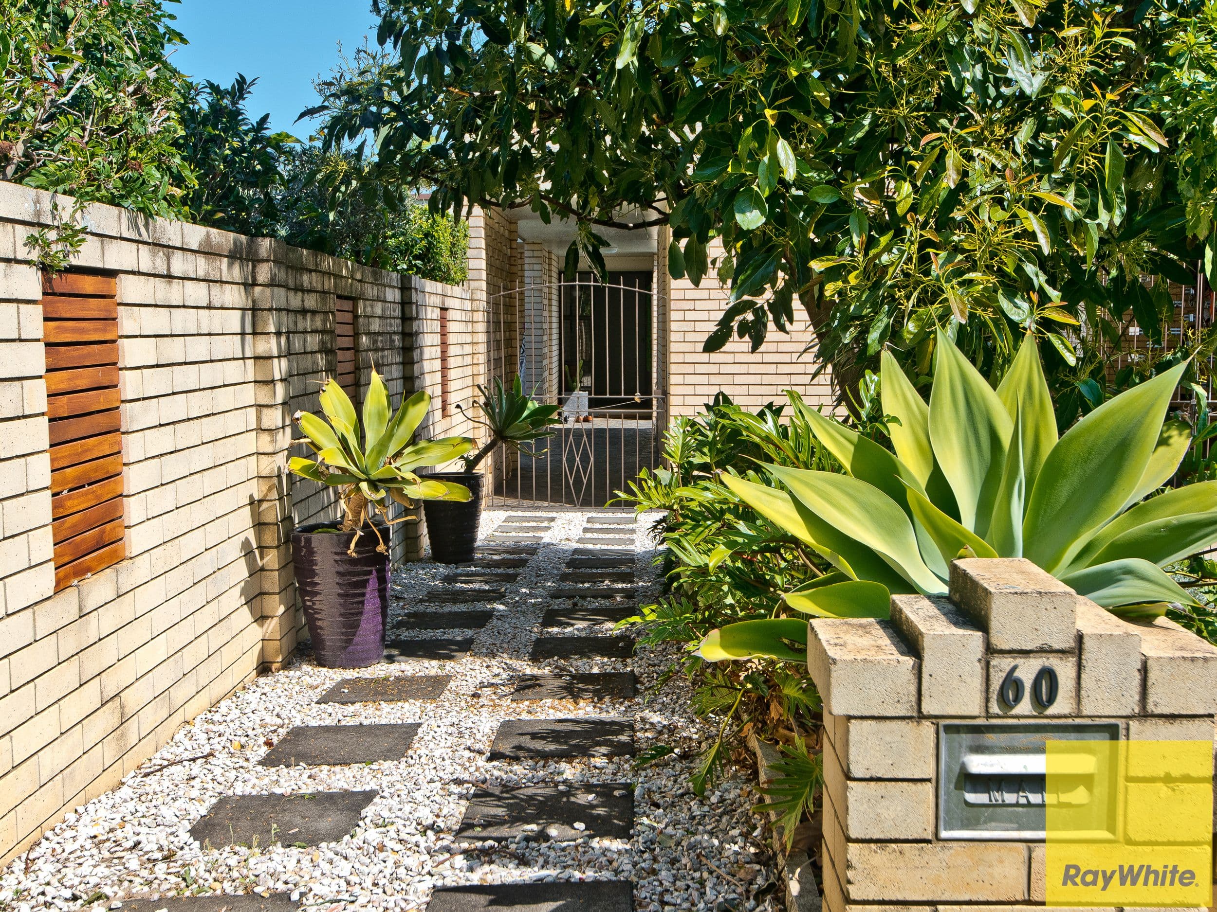 11 The Avenue, Trinity Park, QLD 4879, Trinity Park - Thumbnail 2