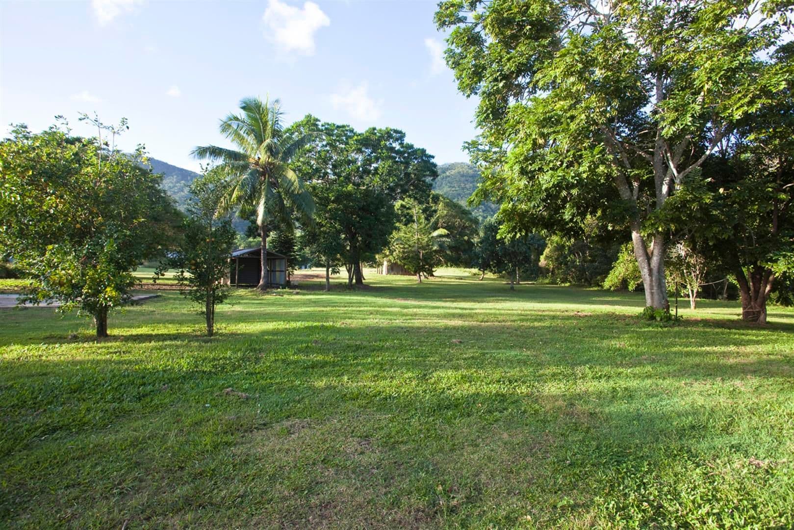 1701 Conway Road, Conway QLD 4800, Conway - Thumbnail 5