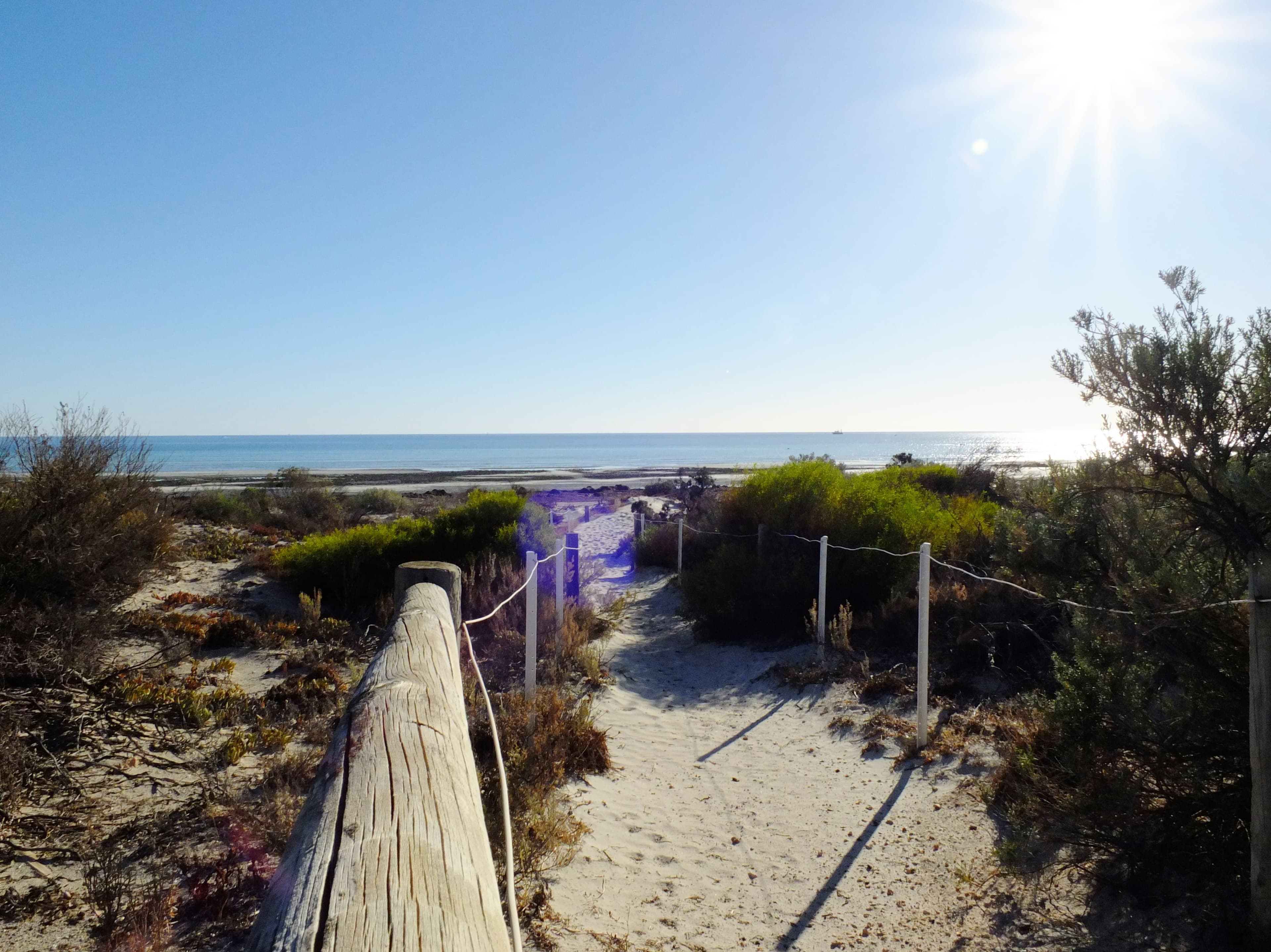 6 Milne Street, North Beach SA 5556, North Beach - Thumbnail 3
