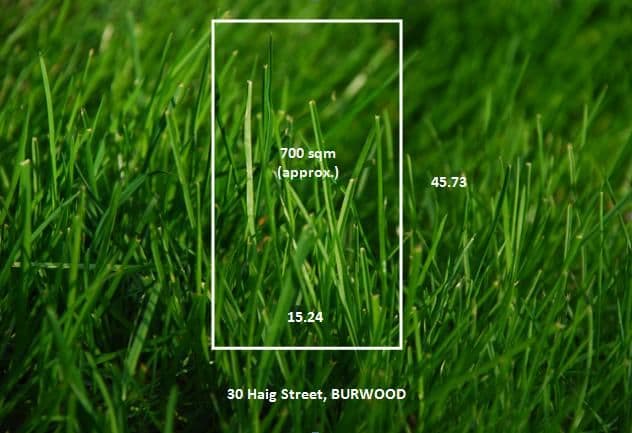 30 Haig Street, BURWOOD VIC 3125, Burwood - Thumbnail 4