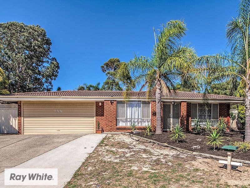 144 Illawarra Crescent S, Ballajura WA 6066, Ballajura - Thumbnail 2