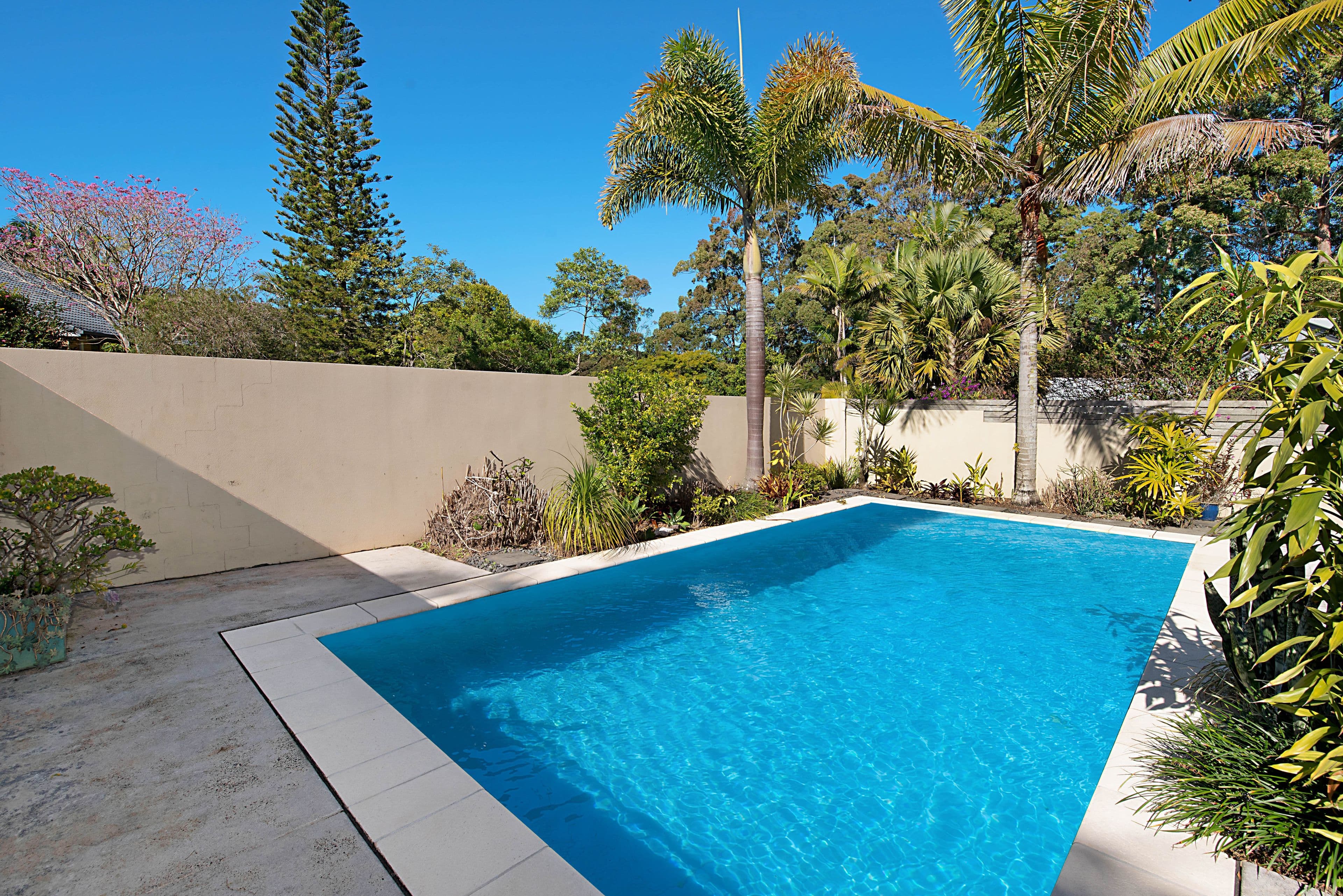 11 Alicia Close, Buderim QLD 4556, Buderim - Thumbnail 3