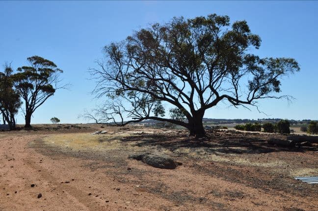 1007 Hillcroft Road, BROOKTON WA 6306, Brookton - Thumbnail 3