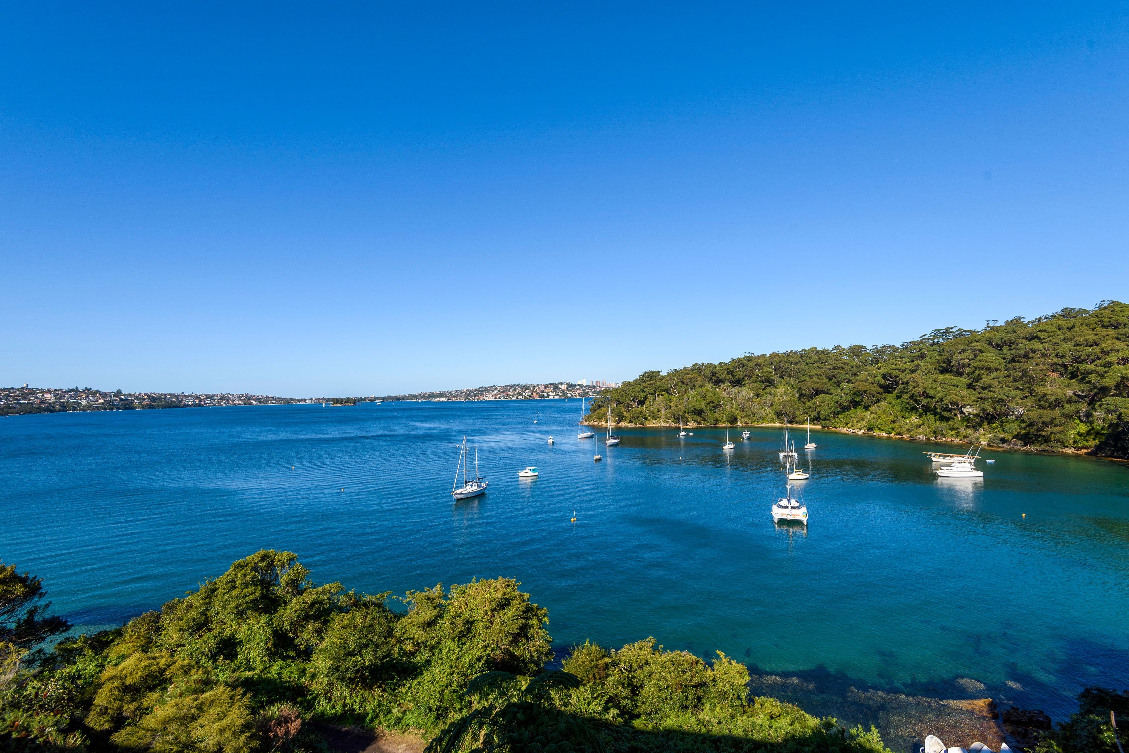 42 Iluka Road, Mosman NSW 2088, Mosman - Image 1